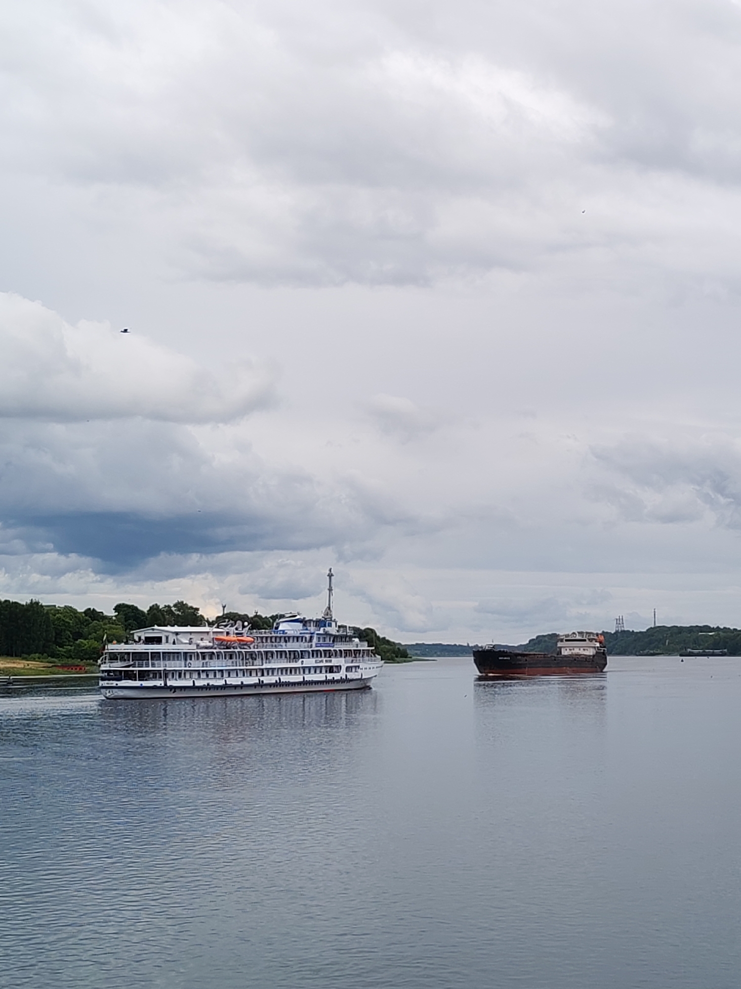 This is a vertical, eye-level shot of a wide, calm river under an overcast sky. Two ships are the main subjects. On the left, a large, white, multi-deck passenger ship is moving towards the right. It has many windows and railings along its sides, and a tall structure at the back with a mast. On the right, a dark-colored cargo ship with a red hull and a lighter deck is moving towards the left, in the opposite direction of the passenger ship. The water is a muted blue-gray, with small ripples on the surface. In the background, a tree-lined shore is visible, with some distant structures on the right.
The sky is filled with heavy, gray clouds, suggesting a potentially cool and possibly rainy day. The lighting is diffused, indicating it's likely daytime, though the cloud cover prevents bright sunlight. There appear to be two small, dark shapes that might be birds in flight high in the sky, and a few even smaller dark specks on the water in the distance. The scene appears peaceful, with the ships navigating the waterway under a subdued sky. The location context indicates this scene is in Bol'shie Mkhi, Russia. No text is clearly visible on the ships or in the environment.