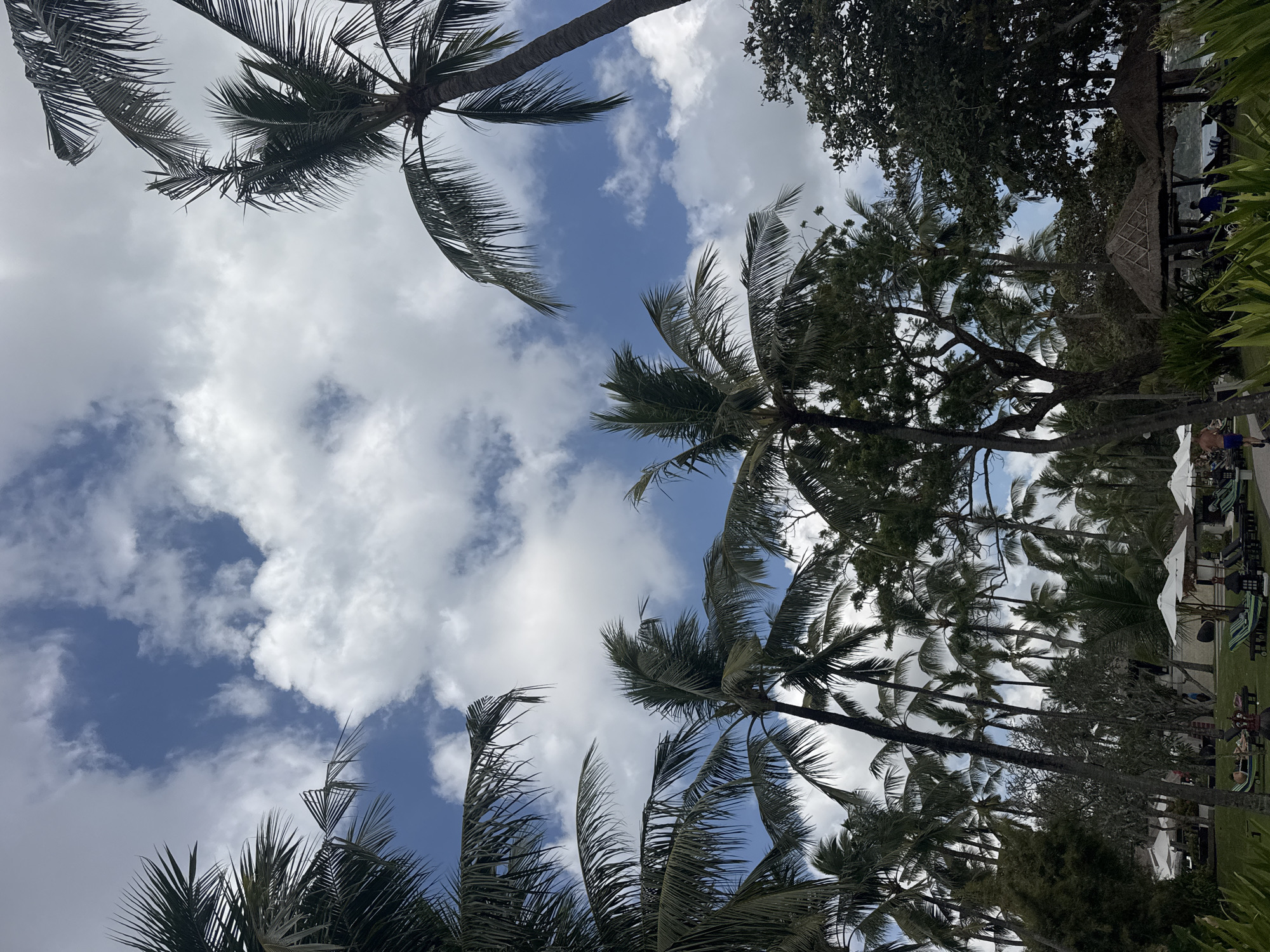 The image captures a view of a resort in Kuta Selatan, Indonesia, dominated by a dense canopy of palm trees against a partly cloudy blue sky. The foreground features a lush green lawn with several lounge chairs and white umbrellas, suggesting a relaxation area. In the midground, more palm trees are visible, along with some thatched-roof structures that appear to be gazebos or small huts. A few people are scattered throughout the scene, some lounging on the chairs and others walking. One man in blue shorts is running on a paved path in the lower right portion of the image, and another person in blue is standing near one of the thatched structures. The background reveals more foliage and hints of a body of water, possibly the ocean, further solidifying the tropical resort setting. The lighting indicates it is daytime, with the sun casting shadows and illuminating the clouds.