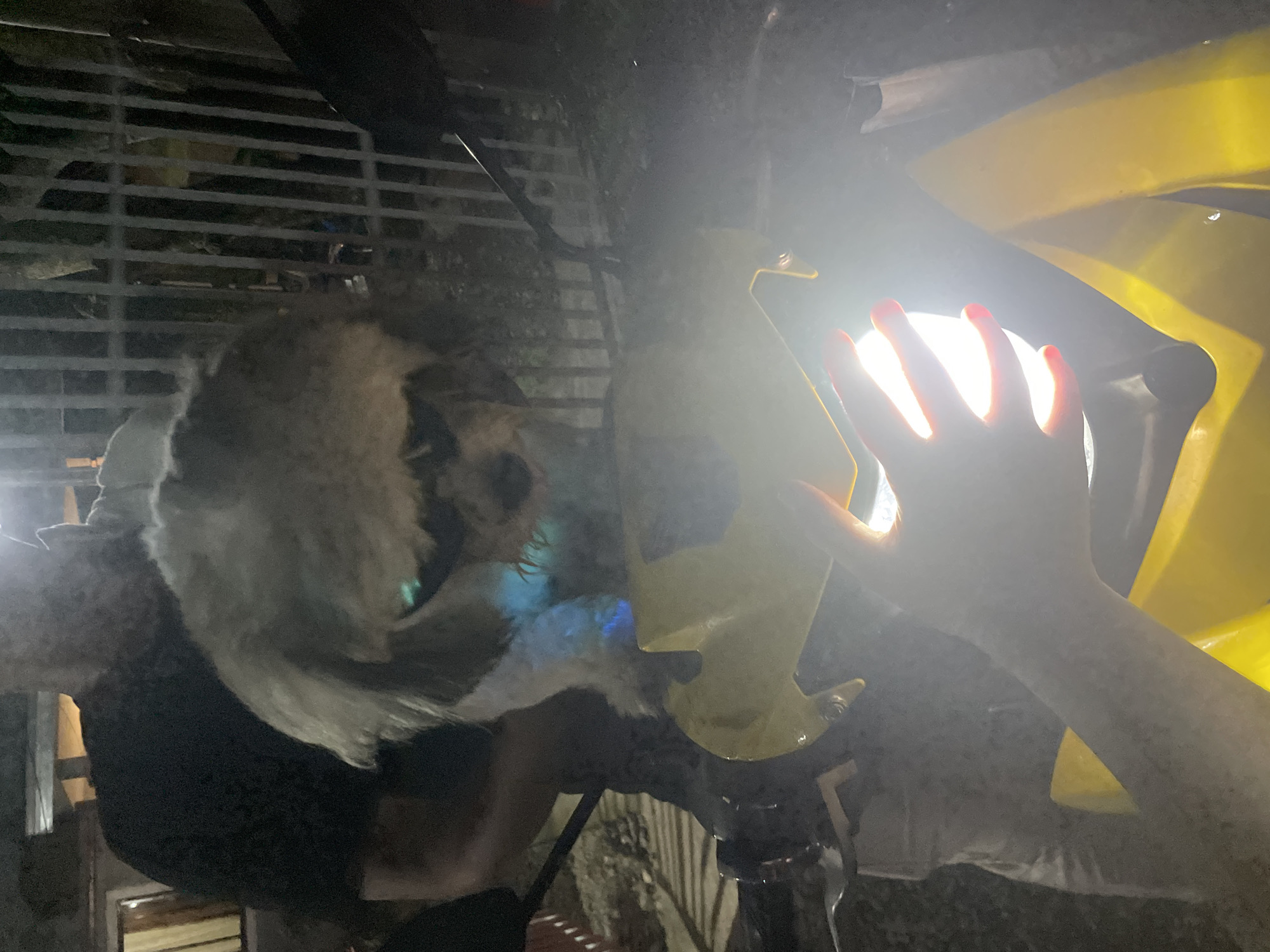 A person's hand is positioned near a bright, circular light source next to a yellow object. Part of a dog with white and black fur is visible on the left side of the frame. The environment includes a partially visible metal grate structure and a blurred background, possibly indicative of an outdoor setting at night. The location is presumed to be in Hijo, Philippines, based on the prompt.