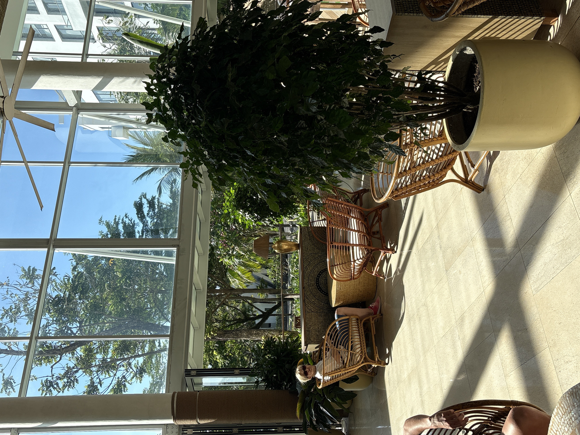 The image depicts the interior lobby of a building with large windows offering a view of lush greenery and a modern building facade. A person with blonde hair, wearing sunglasses, a white t-shirt, and blue striped shorts, is seated in a rattan chair. They are looking towards the camera. In the foreground, a large potted plant with dark green leaves sits in a light yellow planter. Several other rattan chairs and a woven decorative chest are visible in the seating area. Sunlight streams through the windows, casting striped shadows on the light-colored tiled floor. The scene suggests a relaxed atmosphere in a well-lit, open space. The building's architectural style, the vegetation, and the general ambiance are consistent with a resort or hotel lobby in a tropical or subtropical urban environment like Da Nang, Vietnam.