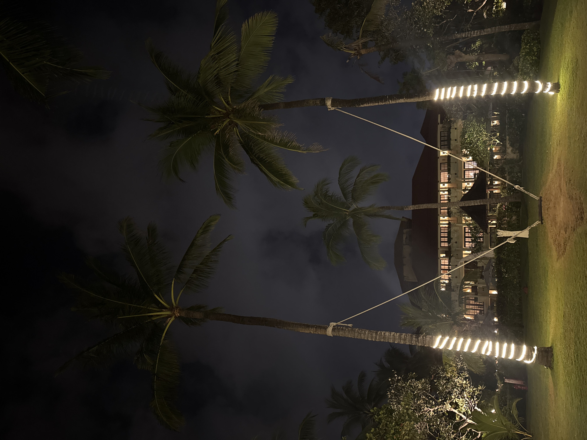 The image depicts a nighttime scene at a resort in Kuta Selatan, Indonesia. Two tall palm trees, adorned with vertical strings of white lights, frame a central view of a multi-story building with illuminated windows. A rope swing hangs suspended between the two palm trees, its seat resting on the grass. The ground is covered in manicured green grass, with a sandy area in the foreground. Other palm trees and lush vegetation are visible in the background, partially illuminated by the resort's lights. The sky is dark with clouds.