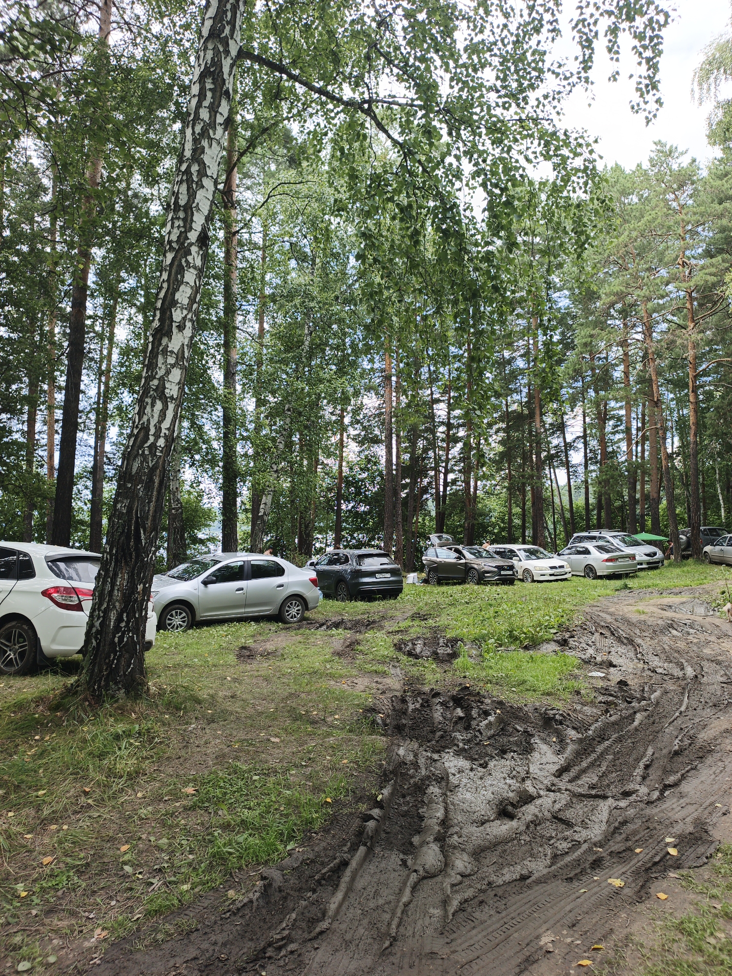 A group of cars are parked in a forest clearing with a muddy dirt road in the foreground. The trees are tall and the leaves are green. The sky is overcast. The cars are of various makes and models, and they appear to be parked haphazardly. Some of the cars have their doors open. There are no people visible in the image, but the presence of the cars suggests that people are likely nearby. The scene appears to be a recreational area, possibly a campsite or picnic spot. The location is identified as Nepryakhinskoye Sel'skoye Poseleniye, Russia.