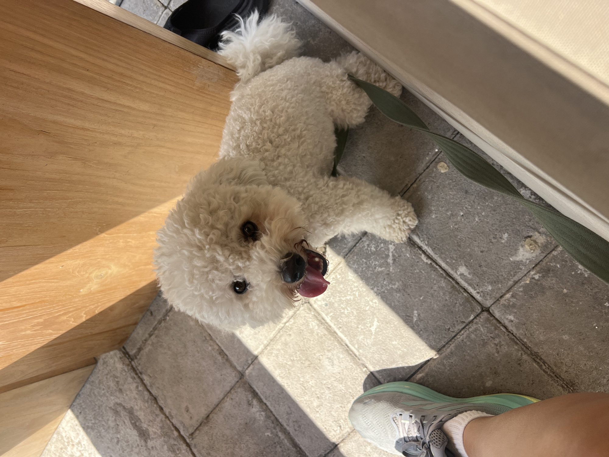 A small, white, curly-haired dog with its tongue hanging out sits on a gray tiled patio next to a person's leg wearing a gray and teal athletic shoe and white sock. The dog is looking directly at the camera. Behind the dog is a wooden structure. Sunlight casts diagonal shadows across the scene. The overall setting appears to be an outdoor seating area, possibly at a cafe or restaurant. The location is Mengwi, Indonesia.