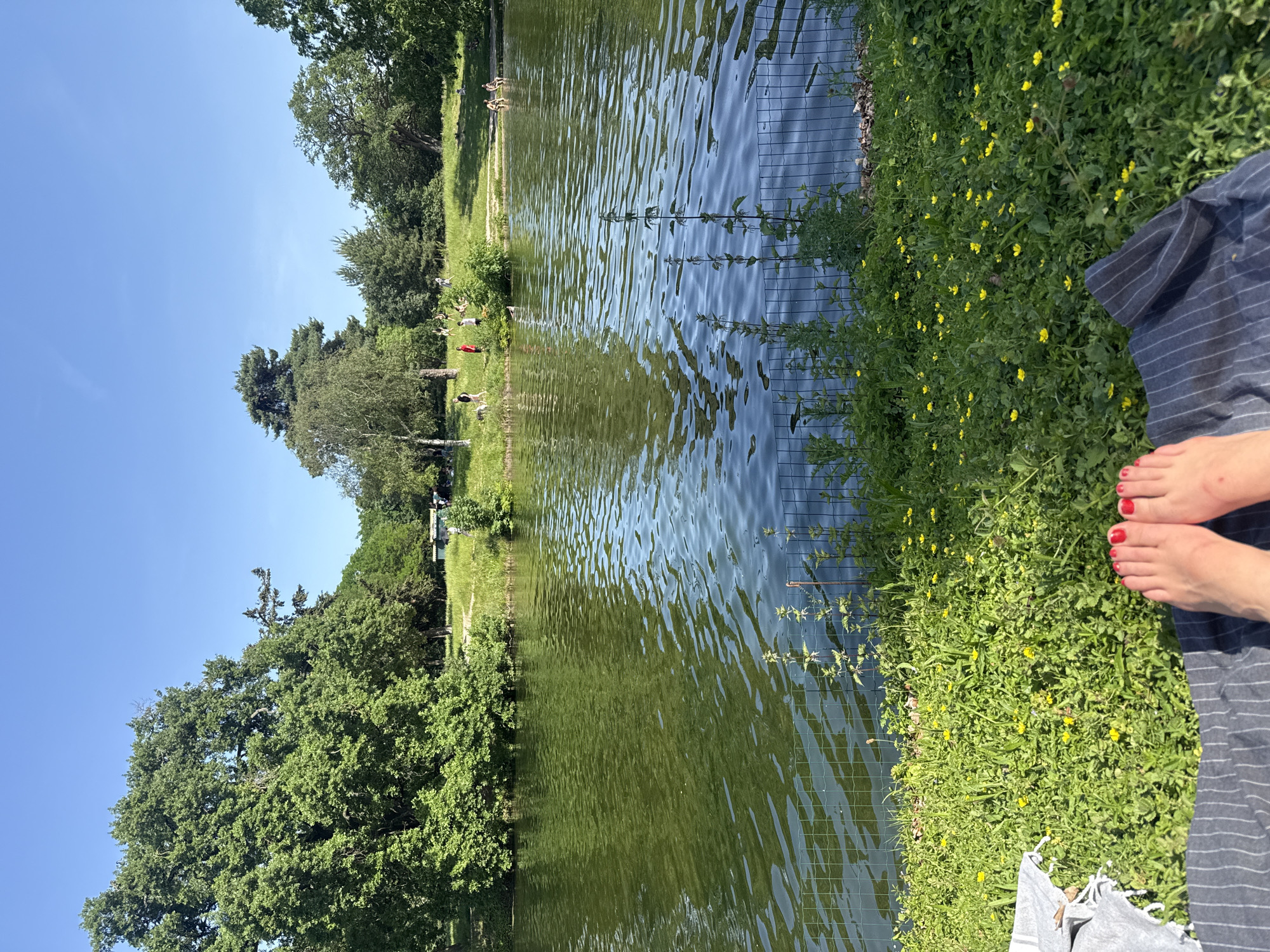 The image depicts a waterside scene, possibly a park or natural area, with dense green foliage bordering the water's edge. The water surface shows ripples and reflections of the surrounding trees and sky. A fence runs along part of the shoreline, separating the water from the grassy area. On the right side of the image, a person's bare feet with red nail polish are visible near a striped towel or blanket. Small yellow flowers dot the grassy area. Further back, several people are visible on the far shore. The clear blue sky suggests it is a bright, sunny day. It cannot be inferred this scene is located in Paris, France.