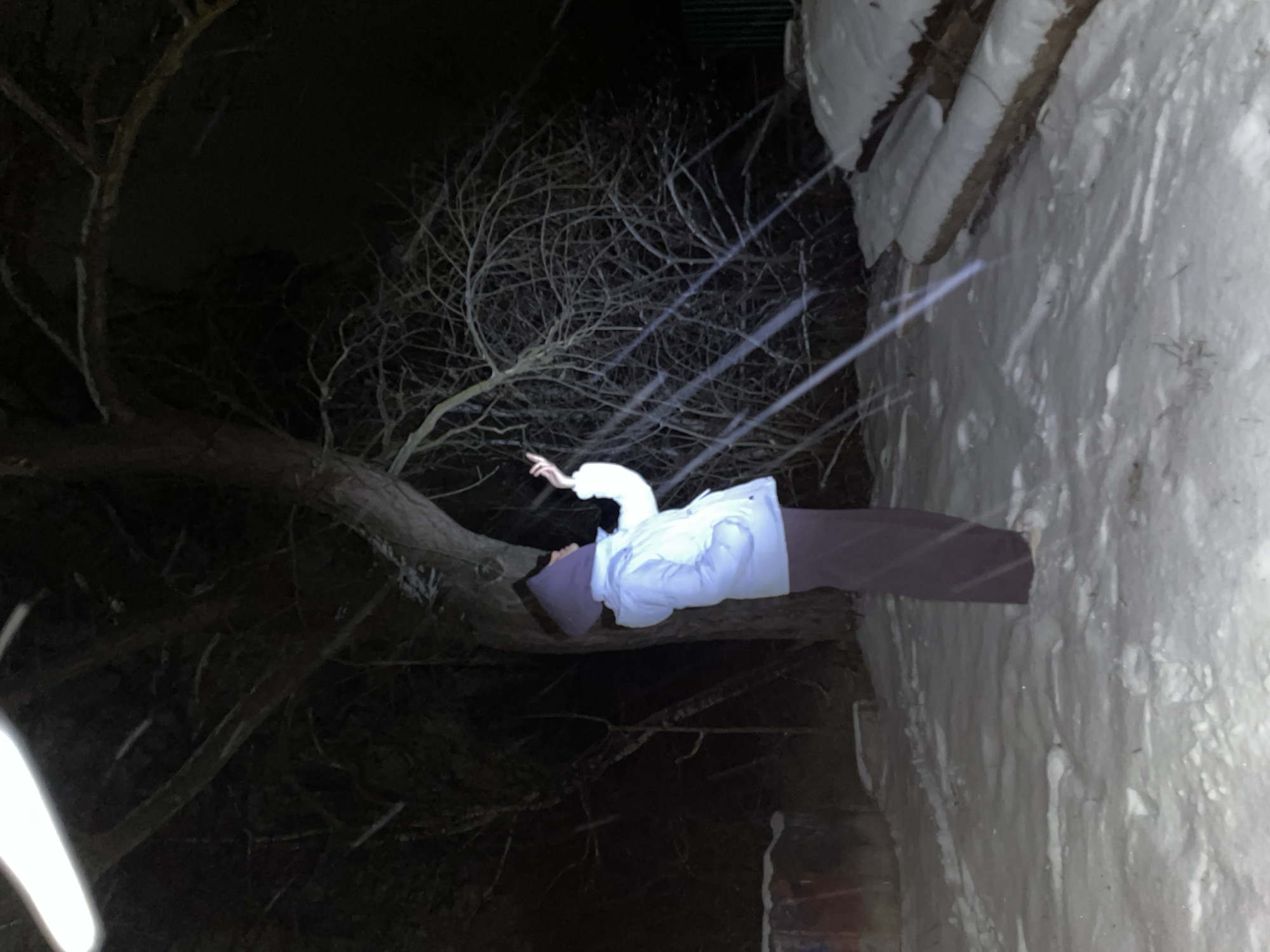 A person in a light-colored hooded jacket and dark pants is lying on a tree branch at night. The branch is covered in bare twigs. To the right of the person, there is a snow-covered surface, possibly a building or wall. Light reflects off the snow. The location appears to be outdoors in a dimly lit environment, although the specific city of Pozim', Russia cannot be confirmed.
