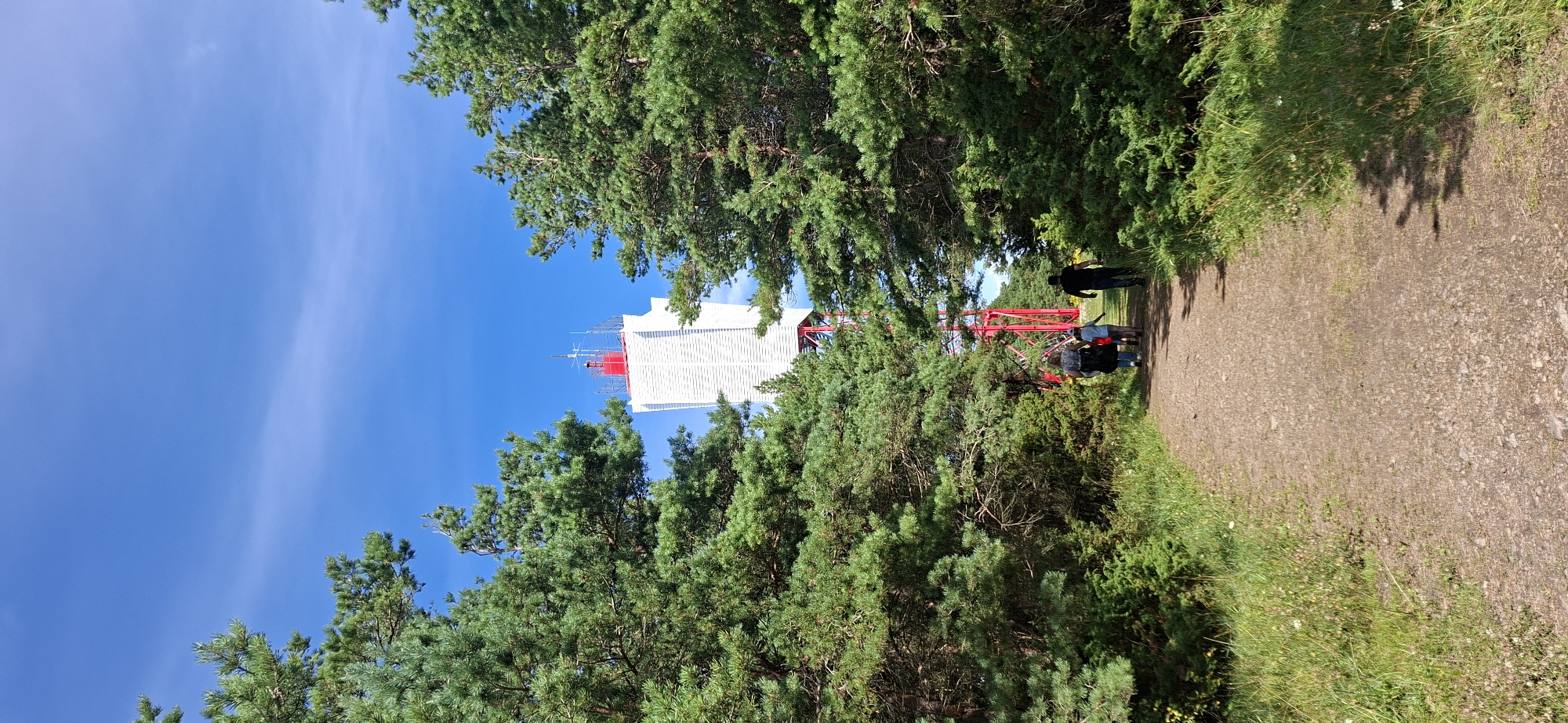 The image shows a view of the Panga Lighthouse on the island of Saaremaa, Estonia. The lighthouse is a tall, white structure with a red top, visible through a gap in a dense forest of pine trees. A dirt path leads through the trees towards the lighthouse. Several people are walking on the path, heading towards the lighthouse. The sky is blue with a few white clouds. The scene appears to be a sunny day.