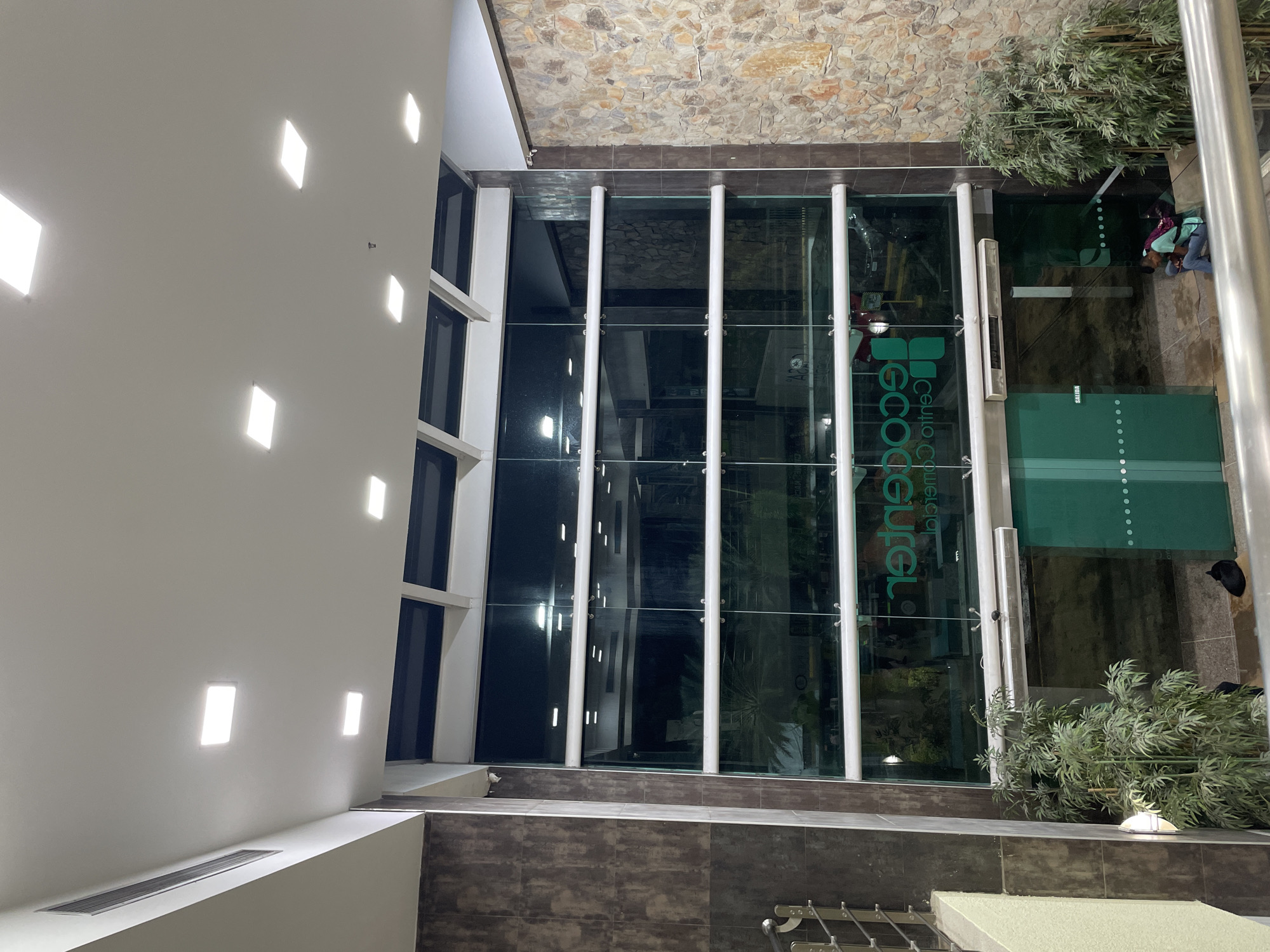 The image shows the entrance to a building with a large glass facade. The building appears to be a commercial center, as indicated by the text "ECCOCENTER CENTRO COMERCIAL" visible on the glass in green lettering, which is also reversed. The entrance features green glass doors with white dotted patterns and a sign that reads "SALIDA" (exit). Inside the building, artificial plants are visible. To the right of the entrance, a section of the wall is covered in rough, multi-colored stones. In front of the glass facade, more artificial plants are positioned. On the ground near the right side of the entrance, a black cat is resting. Two individuals are seated on a low wall in front of the green doors, one of them looking towards a phone. The ceiling is white with multiple square LED lights. The exterior walls of the building are a mix of dark textured material on the left and the stone facade on the right. The overall impression is of a modern indoor or semi-indoor commercial space in El Valle del Espíritu Santo, Venezuela.