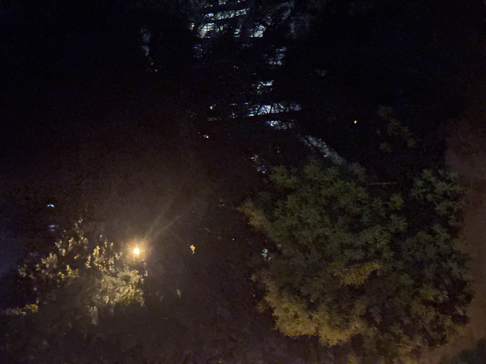 An overhead shot of a dark outdoor scene at night, illuminated by a single street lamp. The street lamp is positioned in the upper left quadrant of the image, casting a warm, yellow light on the surrounding foliage. The light is diffused, creating a hazy glow that illuminates some of the leaves and branches of a tree. To the right of the street lamp, a dense cluster of dark trees creates a stark contrast against the illuminated area. Some of these trees are silhouetted against the faint light, while others are partially obscured by the darkness. The overall impression is one of a quiet, secluded area, possibly a park or a wooded residential street, at night.