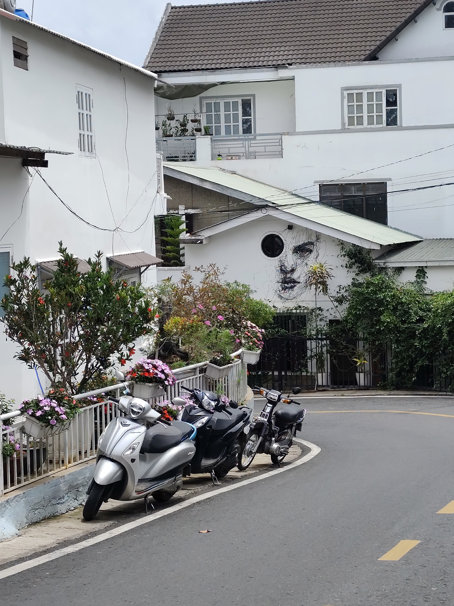 This image captures a picturesque street scene in Da Lat, Vietnam, characterized by white buildings, lush greenery, and parked motorcycles. The scene is set on a gently curving asphalt road with white and yellow markings.
Several multi-story buildings, predominantly white, are visible. One prominent building on the right features a distinctive mural of a woman's face, rendered in black lines and shading, next to a round window. This building, along with others, is partially covered in climbing plants and ivy. Many buildings have white-framed windows, some with multiple panes, and some sport brown tiled roofs. Electrical wires are strung between the structures.
The street level is adorned with vibrant flora. A white metal railing runs along the road, holding numerous planter boxes overflowing with colorful flowers in shades of pink, purple, and red. Large bushes and trees with green foliage and some red blossoms add to the natural beauty.
Three motorcycles are parked neatly along the roadside. The closest is a silver scooter, followed by a black scooter, and then a darker, older model motorcycle further down the curve.
The time of day appears to be daytime, with soft, diffused lighting suggesting either an overcast sky or early morning/late afternoon conditions, as there are no harsh shadows. The overall atmosphere is tranquil and visually appealing, showcasing a blend of architecture and nature common in Da Lat. No visible text is present in the image.