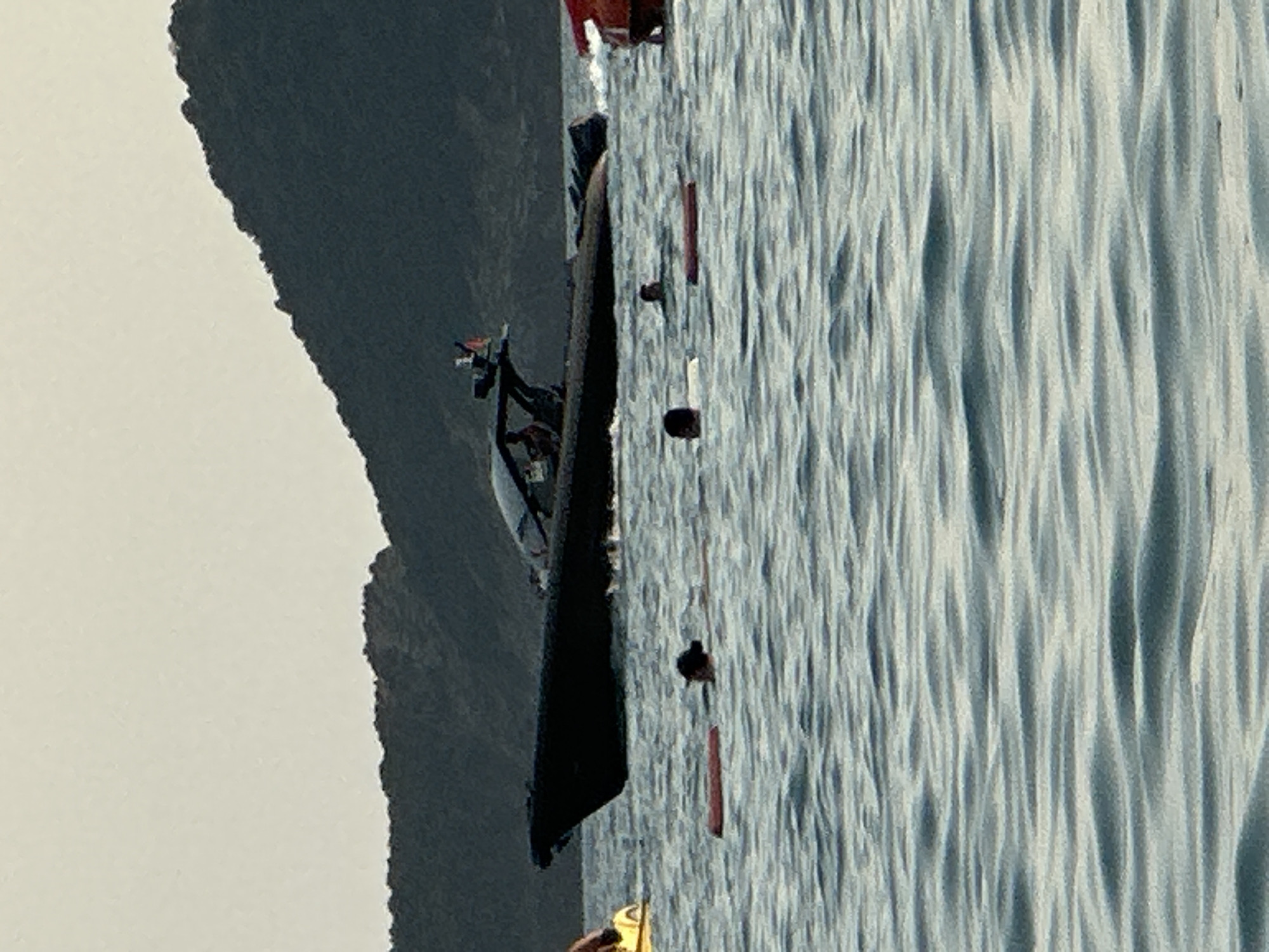 In the city of Boreti, Montenegro, a dark-colored, sleek speedboat navigates the choppy blue water. The boat has a closed cabin with at least two individuals visible inside. In the foreground, several people are swimming. One person is partially submerged, wearing a white shirt and a dark cap. Another individual is also swimming, with their head visible above the water. A red floating object, possibly a buoy or a piece of equipment, is positioned between two swimmers. To the left of the frame, a bright yellow float with a person on it is partially visible. In the background, a densely forested dark mountain range rises, its peaks jagged against a pale, overcast sky. The overall scene depicts a recreational or leisure activity on the water.