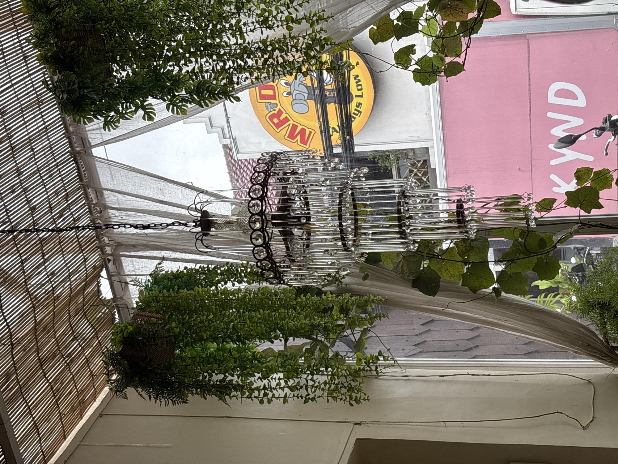 The image shows the interior of a space decorated with hanging plants and a chandelier. Reflected in the windows above are signs, one reading "MR. DIY ALWAYS LOW" and another a pink sign with "KYND" on it. This scene is in Kuta Selatan, Indonesia.