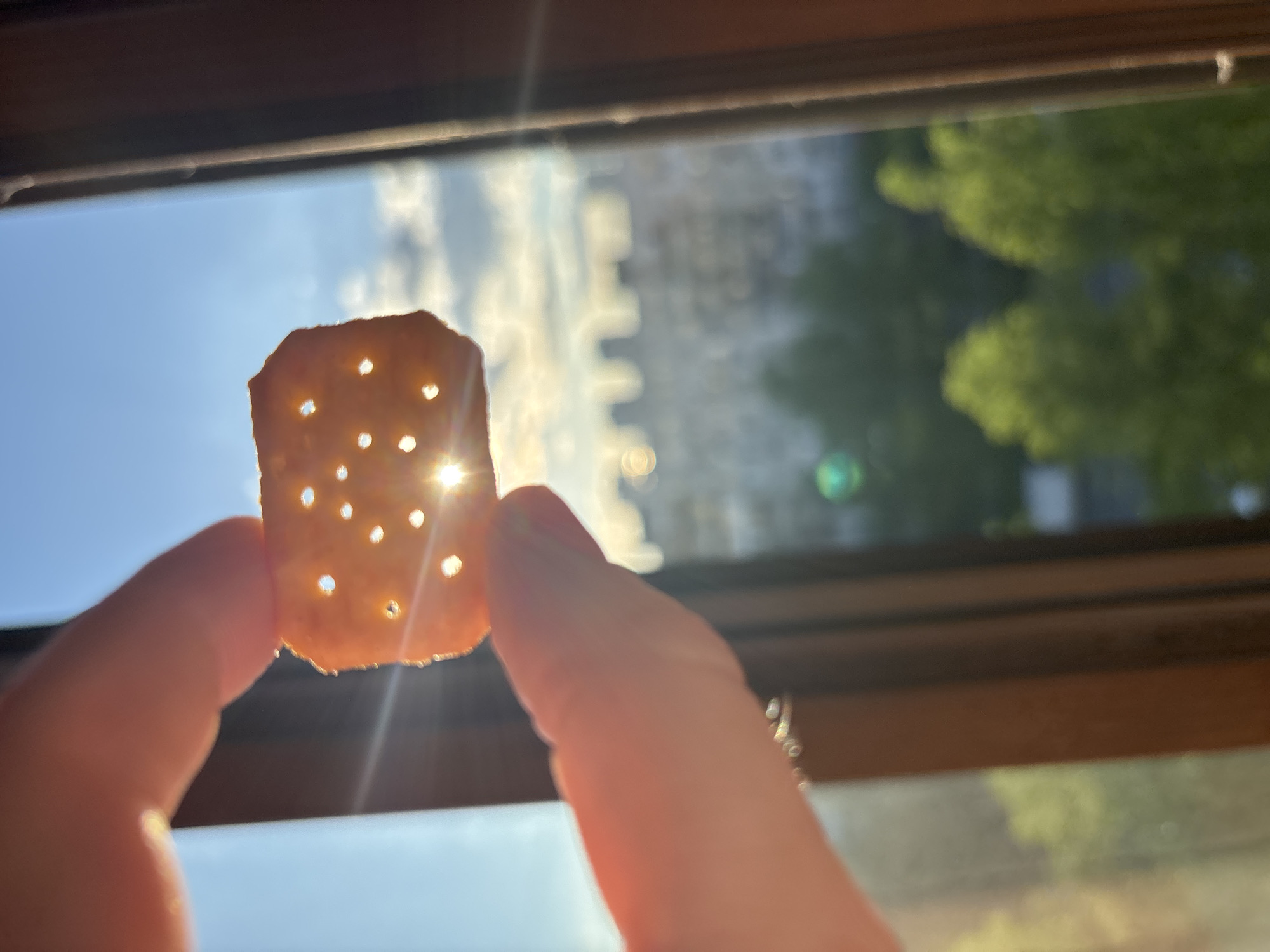 A hand holds a cracker with multiple holes in front of a sunlit window. The background outside the window shows a blurry cityscape and green trees. The location is likely an interior space based on the window frame. The specific city is unknown. The cracker is the main subject, with the hand serving as a supporting element, and the cityscape providing context. The sun is very bright and may be causing glare. The action is holding the cracker up to the window.