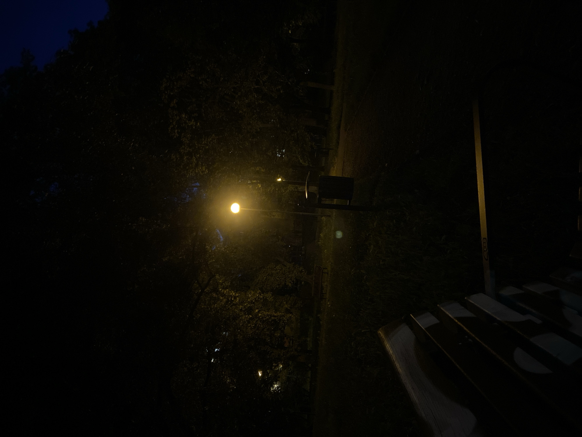 An outdoor scene at night, likely in a park or public area within Warsaw, Poland. The image is dark, with a single lamppost in the mid-ground casting a yellow light. Trees with dense foliage are visible, creating a dark canopy. A park bench is in the foreground, partially visible and in shadow. A trash bin is situated near the lamppost. The ground appears to be grass and possibly a paved path. The overall impression is one of a quiet, dimly lit urban outdoor space after dark.