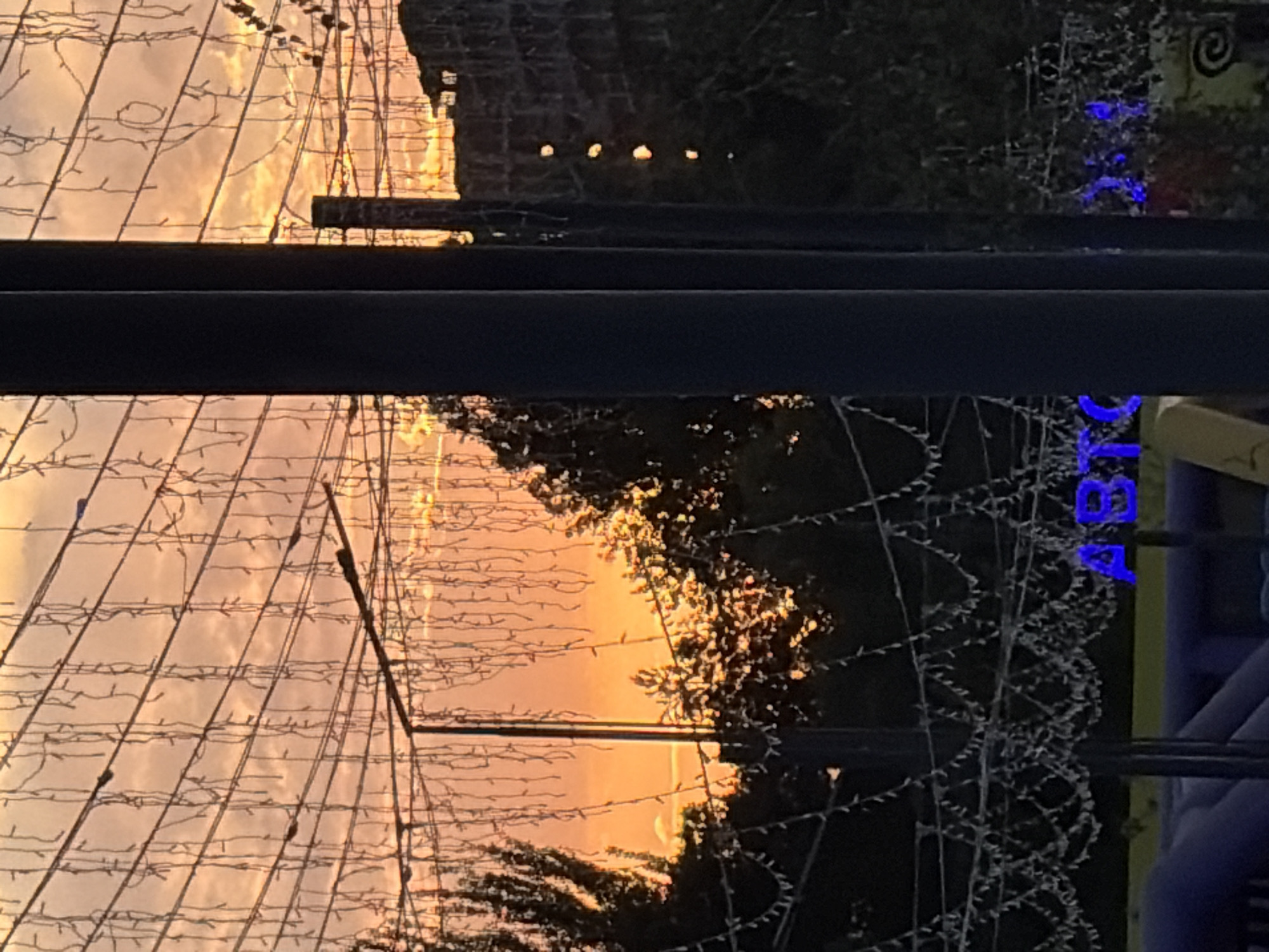 This is a vertical, medium shot of a sunset scene with some artificial elements in the foreground. The sky is a vibrant orange and yellow, with scattered clouds. In the foreground, there are dark vertical poles, and a mesh fence strung with white lights, creating a diamond pattern. There are also strands of lights hanging from above, resembling icicles. Trees with dark foliage are visible on either side of the frame, with some branches illuminated by the sunset. In the background, there is a silhouette of a multi-story building with a dark facade. Partially visible at the bottom of the image are blue illuminated letters that appear to spell "AUTO", and a section of a large, inflated structure. The overall impression is a juxtaposition of a natural sunset with urban or event-related artificial lighting and structures.
