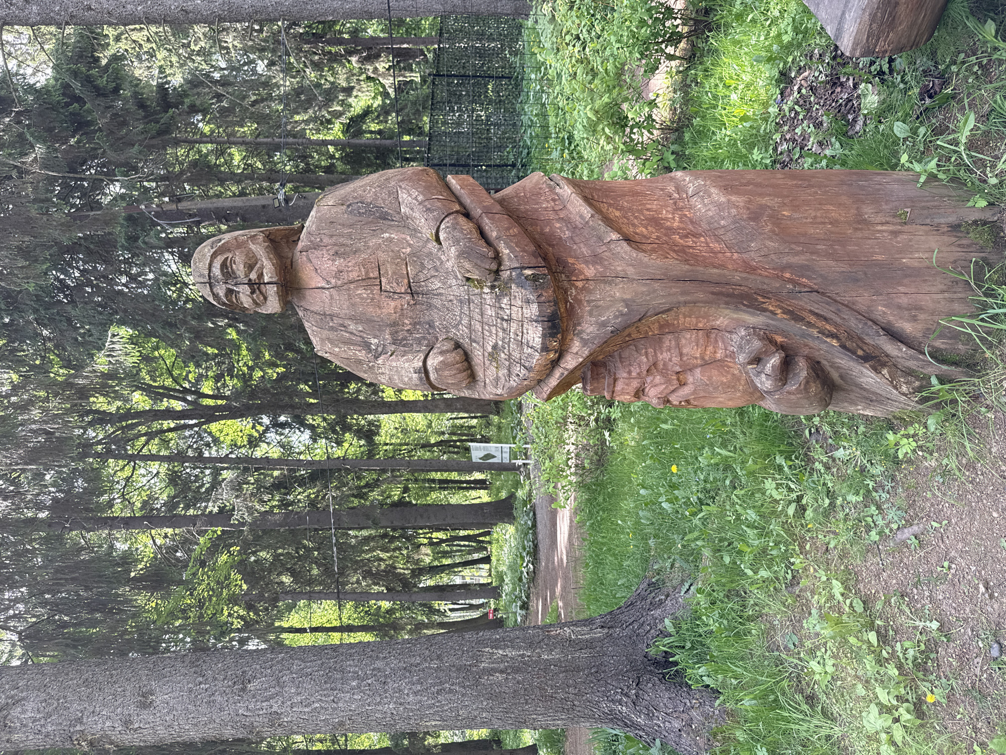 The image depicts a wooden sculpture of a figure with clasped hands, located in a forested area in Izhevsk, Russia. The sculpture is made from a large tree trunk. The figure appears to be seated or standing, but the lower portion is obscured. The sculpture is weathered with cracks and moss. In the background are trees, greenery, and a path. A wire fence is partially visible in the distance.