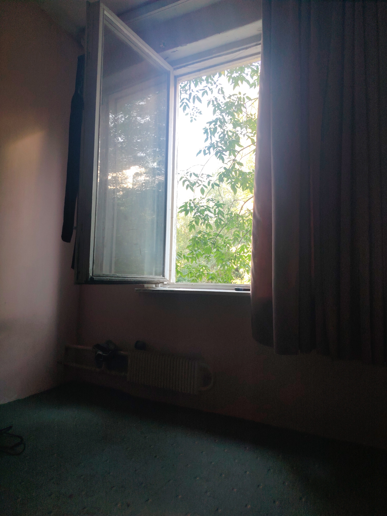 The image depicts an interior scene, likely a room, with a window prominently featured. The window is open, allowing natural light to filter in. Outside the window, lush green foliage from trees is visible, suggesting a location with vegetation. A dark-colored curtain hangs to the right of the window. The interior walls appear to be painted a light, muted color, and the floor is covered with a dark green carpet. A radiator is visible below the window. There are some objects on top of the radiator, including what appears to be a dark bag or backpack, and other unidentifiable items. A black object, possibly a cord or cable, is seen on the floor in the lower left corner. The overall lighting suggests it might be daytime. The scene does not contain any individuals or provide any specific clues to its location within Moscow, Russia.
