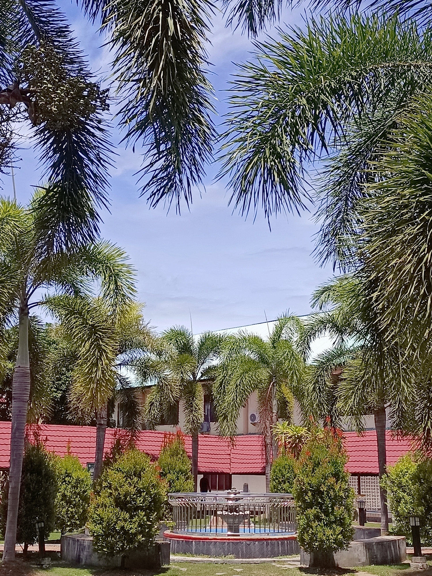 The image depicts a daytime outdoor scene in Mesjid Reuntoh, Indonesia, characterized by lush palm trees framing a view of a building with a red tiled roof. The palm fronds, some with visible fruit clusters, extend from the top and sides of the frame, creating a natural canopy. In the mid-ground, a low-rise building with multiple windows and air conditioning units is visible behind a row of manicured green bushes and small trees. A decorative fountain with a metal railing surrounds it is positioned in front of the bushes, situated on a grassy area with concrete borders. The sky is clear and blue, indicating fair weather conditions. There are no people visible in the frame.