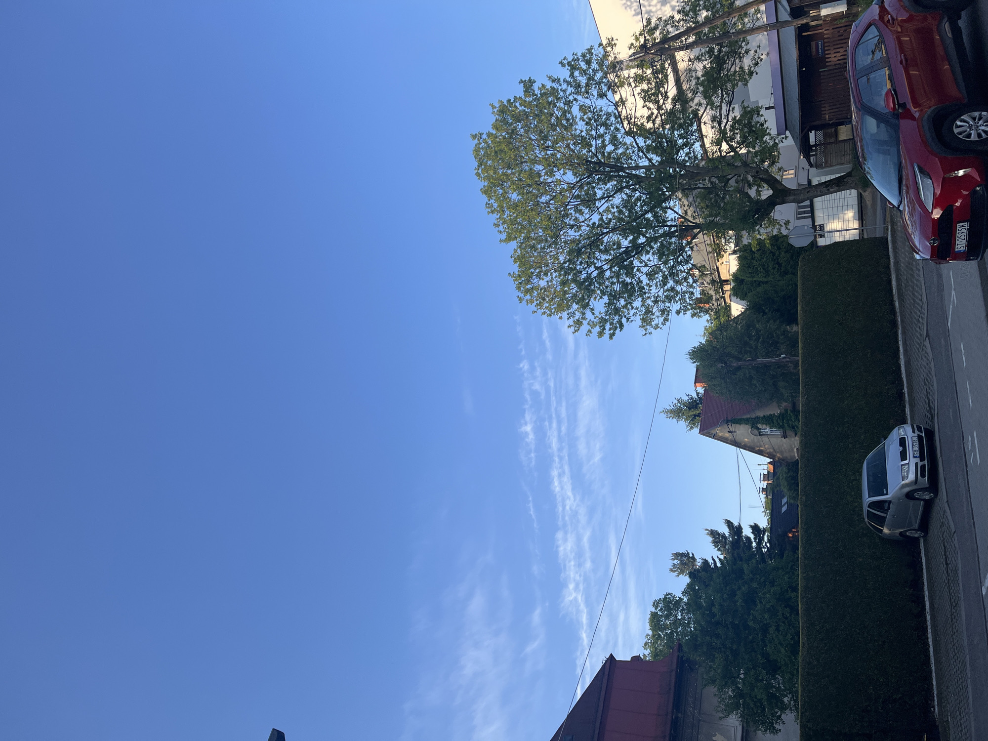The image displays a bright, sunny daytime scene of a residential street, likely in Poland given the visible license plate formats. The left two-thirds of the frame are dominated by a clear blue sky with scattered, wispy white clouds.
On the right side, a paved street runs vertically, alongside which is a neatly trimmed, dark green hedge. Beyond the hedge, a variety of green trees and bushes are visible, including a large, mature deciduous tree with full green foliage positioned prominently in the upper right quadrant.
Several buildings with different architectural styles and roof colors are present in the background on the right, suggesting a residential area. Utility poles and overhead wires are also visible, extending across the scene on the right.
Two cars are parked along the street. In the upper right, a red car, possibly a compact model, is partially visible, showing a license plate that reads "ST 2595W". Closer to the bottom right, a silver or light grey compact car is parked, with its license plate "GS 5351R" clearly discernible. The scene is devoid of people or any specific activity, presenting a tranquil street view under clear skies.
