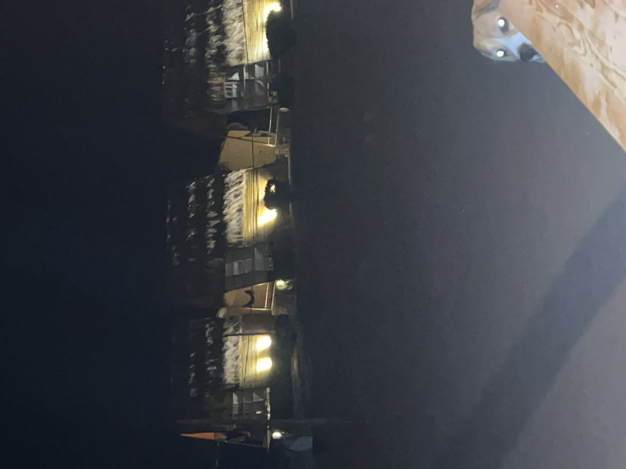 The image depicts a nighttime scene in Nuweiba, Egypt, featuring three thatched-roof huts illuminated from within. The huts appear to be part of a coastal dwelling or resort, with their straw roofs and wooden structures visible. In the foreground, a dog with bright, reflective eyes is looking towards the camera. The dog is partially obscured by a wooden surface. The overall environment suggests a rustic, possibly beachfront setting in the dark.