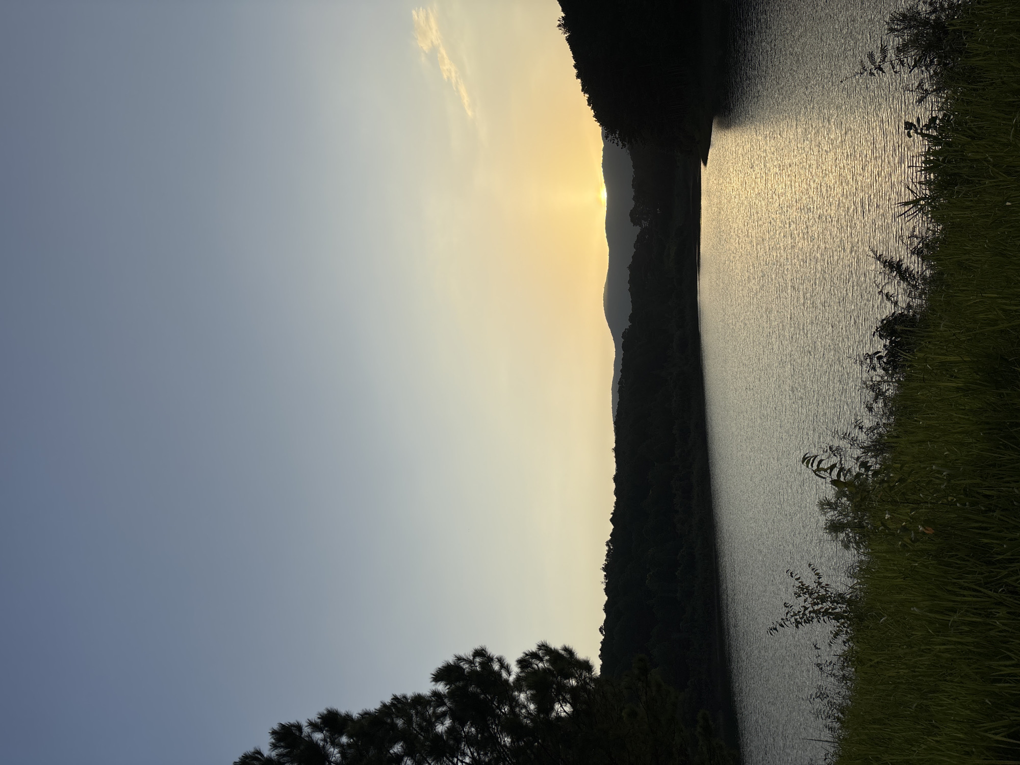 A serene lake is bathed in the warm glow of the setting sun, casting a golden reflection on its surface. The water stretches out towards rolling hills covered in lush, dark green trees, creating a dramatic silhouette against the pale sky. In the foreground, tall grass and scattered bushes line the bank, adding a touch of wild beauty to the scene. The sky above is a gradient of soft blues and yellows, with a few wispy clouds adding texture to the horizon. The overall impression is one of peaceful tranquility, a perfect moment captured at dusk. The location is likely a reservoir or a large natural lake in Da Lat, Vietnam, known for its picturesque landscapes and natural beauty.