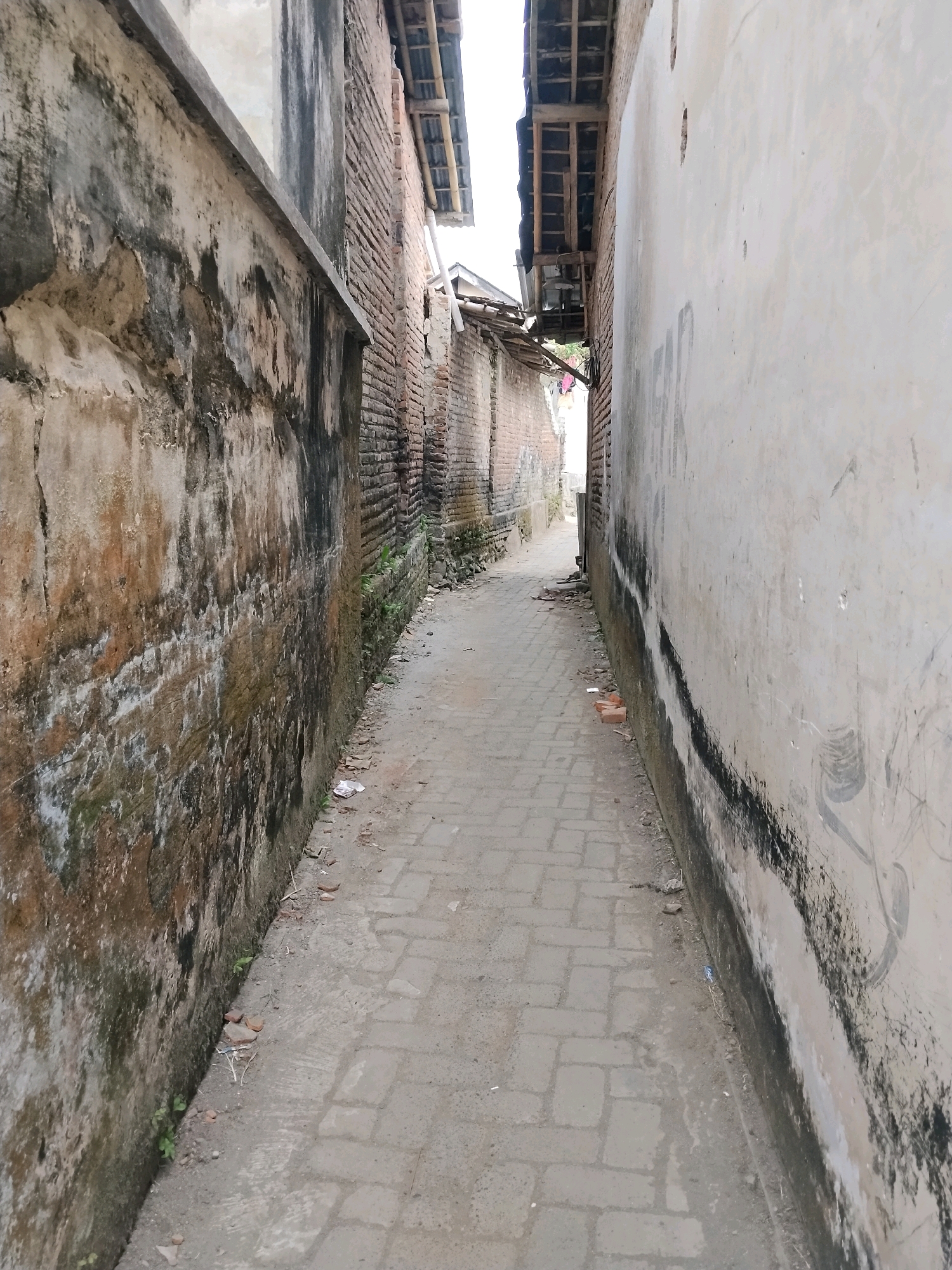 This is a street-level, eye-level, full-shot photograph taken on a sunny day in Patemon, Indonesia. The image depicts a narrow alleyway between two buildings. The building on the left has a textured, weathered wall, likely made of stone or concrete, with patches of moss and discoloration. Its roof is made of bamboo or thatch. The building on the right has a smoother, lighter-colored wall with visible black marks and graffiti. The alleyway itself is paved with interlocking concrete bricks, showing signs of wear and some dirt. Small plants are growing along the base of the left wall. The alley recedes into the distance, with the roofs of more buildings visible further down. There are no people or animals present in the image.