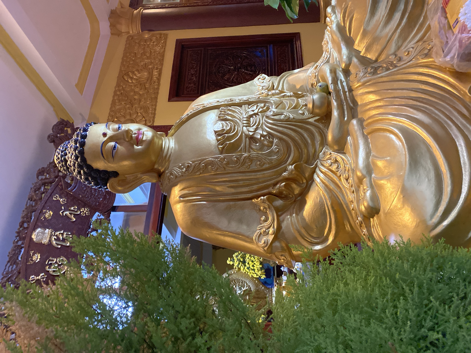 A gold-colored Buddha statue is the focal point of the image. The statue is ornately detailed, and it is positioned indoors. The Buddha has a blue forehead dot, black curled hair, and is partially obscured by evergreen bushes in the foreground. Behind the statue, the interior features yellow-toned walls and a dark wooden framed window and door with intricate carvings. The image appears to have been taken indoors. It is located in the city of Xuân Hương - Đà Lạt, Vietnam.