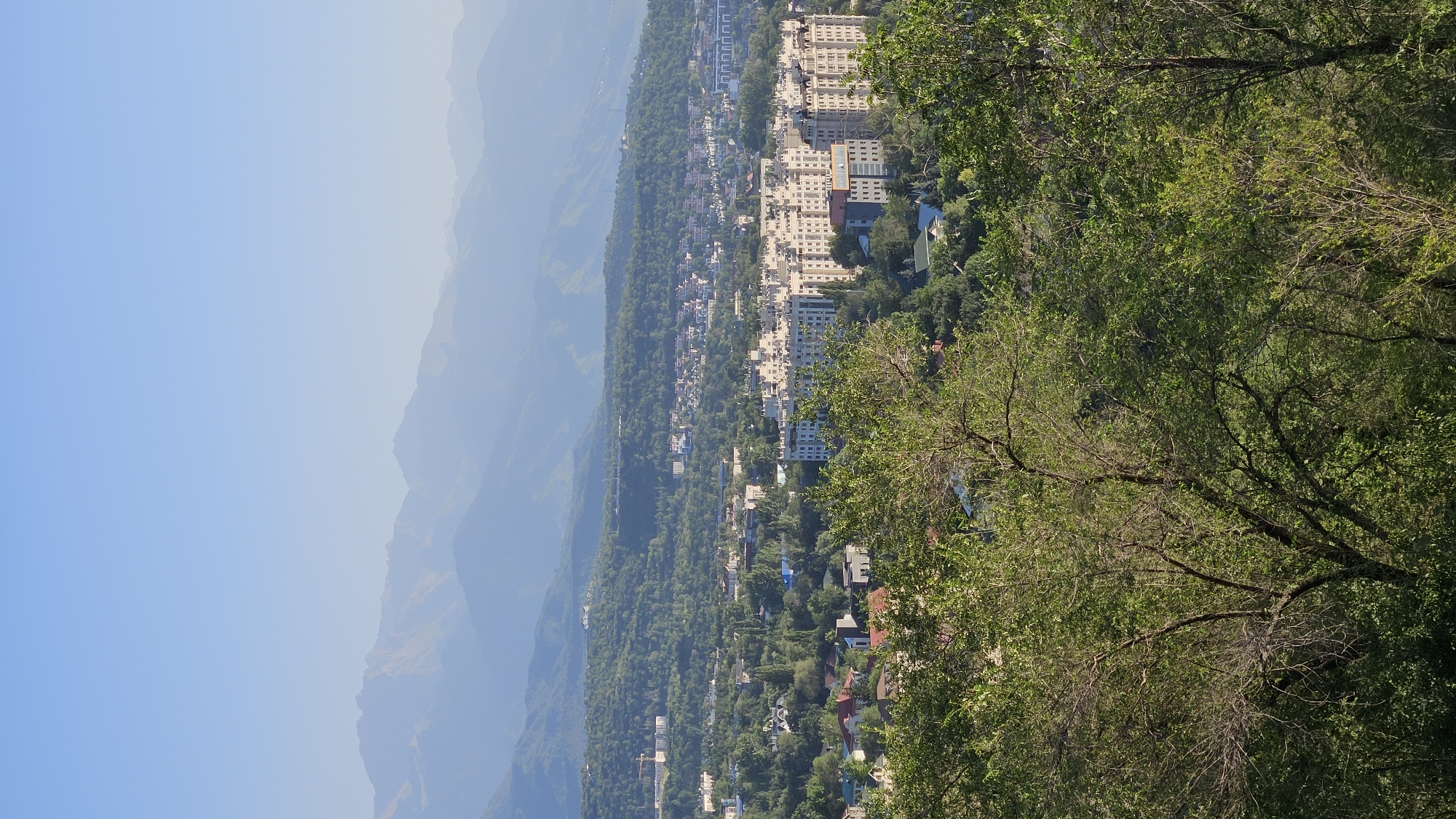 The image displays a panoramic view of Almaty, Kazakhstan, showcasing a city nestled against a backdrop of majestic mountains. In the foreground, lush green trees with intricate branches dominate the lower portion of the frame, providing a natural frame for the scene. Beyond the trees, the cityscape unfolds, characterized by a mix of residential buildings and apartment complexes. The architecture appears to be mid-rise, with several multi-story buildings featuring light-colored facades. The city is densely populated with verdant trees interspersed throughout, giving it a park-like appearance. In the distance, the imposing Tian Shan mountains rise majestically, their peaks softened by the hazy atmosphere, creating a striking contrast between the urban environment and the rugged natural landscape. The sky is a clear, pale blue, suggesting a calm and pleasant day. The overall impression is one of a city harmoniously integrated with its natural surroundings.