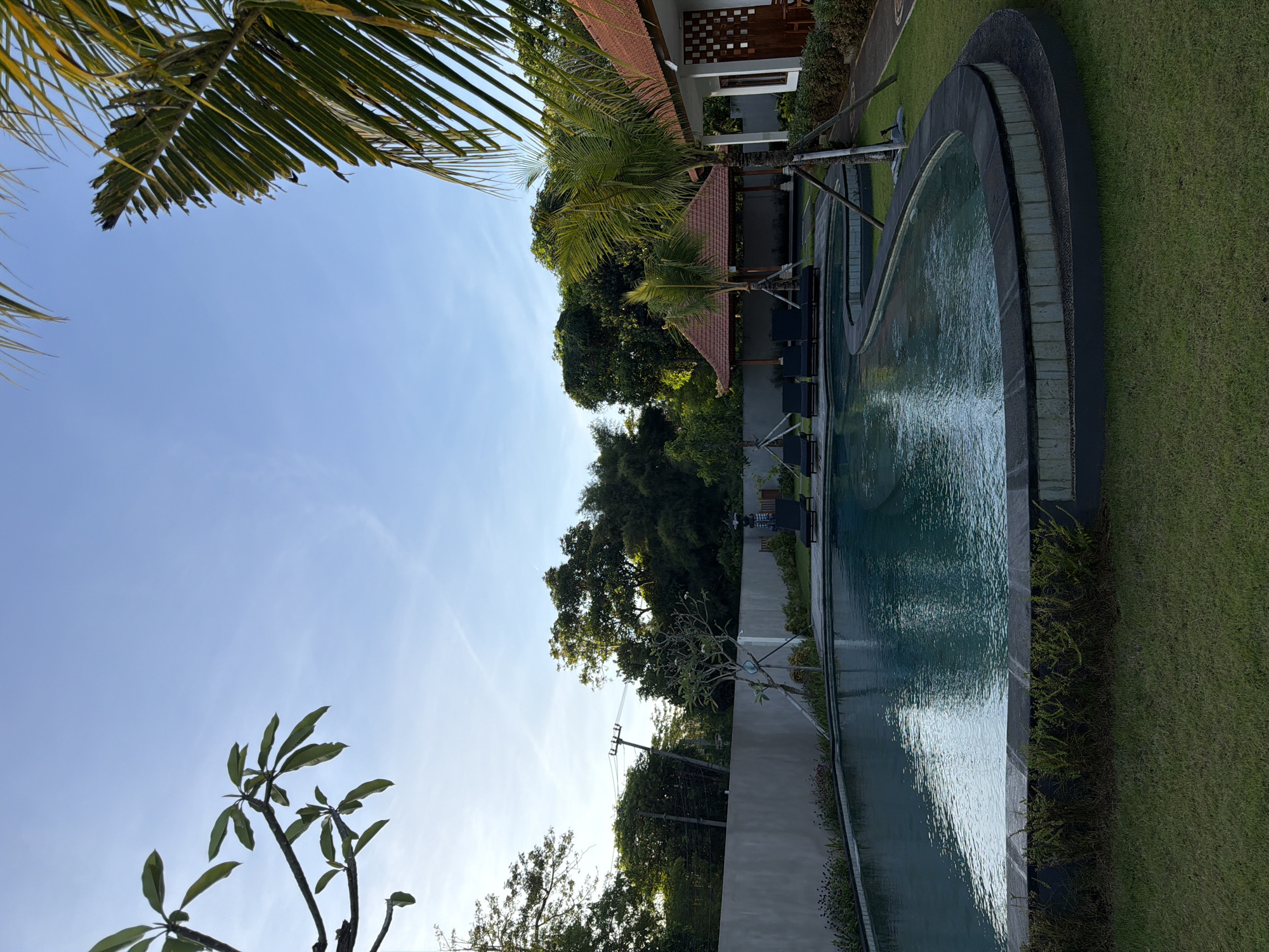 The image presents a tranquil outdoor scene, potentially located in Kuta Selatan, Indonesia, given the tropical vegetation. In the upper left corner of the frame is the vibrant foliage of a palm tree. Beneath this, the sky is blue. Further below, the view is framed by lush greenery.
The middle part of the image features a building with a red-tiled roof and detailed wooden paneling, next to a pool. Several lounge chairs sit beside the pool.
The pool reflects the sky, the pool curves along a grassy lawn. Below the pool, more greenery is present, and several trees and plants on a street with utility poles in the background.