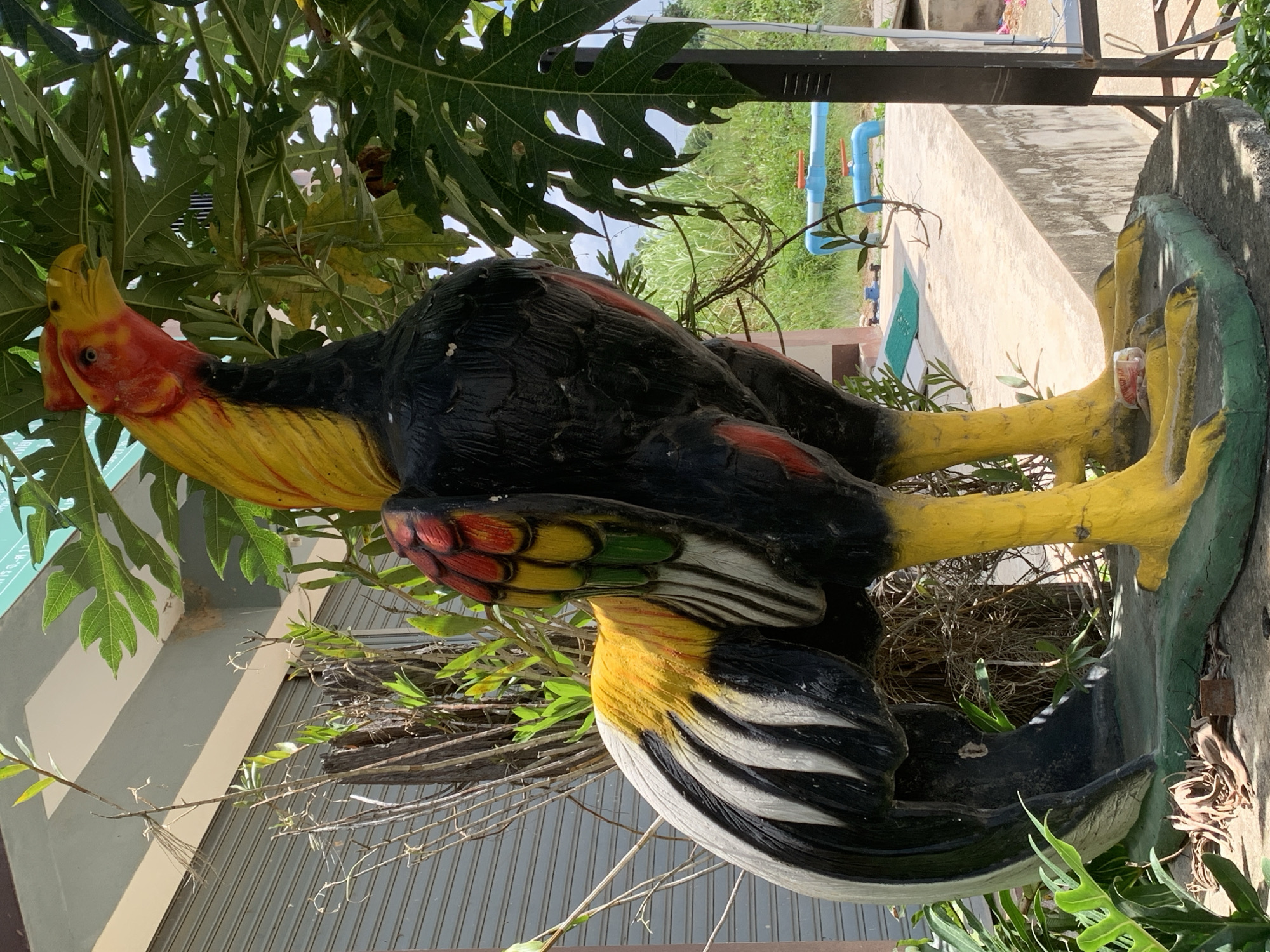 A colorful, life-sized statue of a rooster stands prominently on a concrete platform in an outdoor setting. The rooster statue is depicted with bright yellow legs and comb, a black body, and vibrant red, yellow, and green feathers on its tail and wing. It is positioned amongst lush green foliage, including large-leafed plants and some dry, woody branches. In the background, a grey corrugated metal garage door is visible, along with a section of a light-colored building with a white trim. Further in the background, a field of tall green grass and some blue pipes with red valves can be seen. The lighting suggests it is daytime, with sunlight casting shadows. The overall scene appears to be in a residential or commercial area, possibly a yard or an entrance.