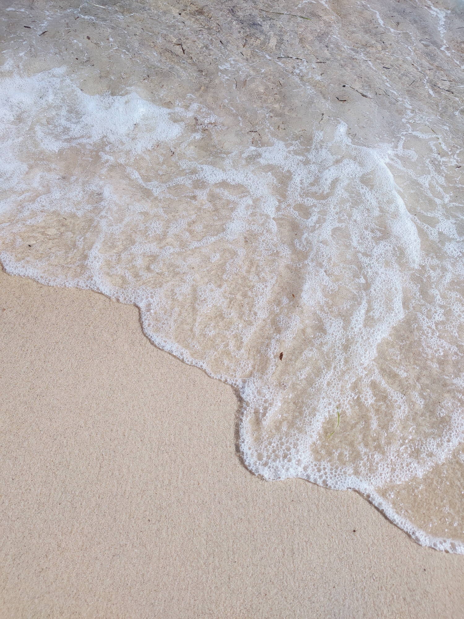 The image depicts a close-up, high-angle view of a sandy beach in Mrezga, Tunisia, with a gentle wave receding. The sand is fine-grained and light tan, showing some texture and slight dampness near the water's edge. A frothy white wave, composed of small bubbles, is in the process of retreating, leaving behind a damp line on the sand. The water is clear and shallow, allowing the sandy seabed to be visible beneath it. Scattered throughout the water and along the edge of the sand are a few small pieces of dried seaweed and debris. The overall environment is natural and serene, capturing a typical moment on a Tunisian coastline. There are no people or man-made objects visible in the frame.