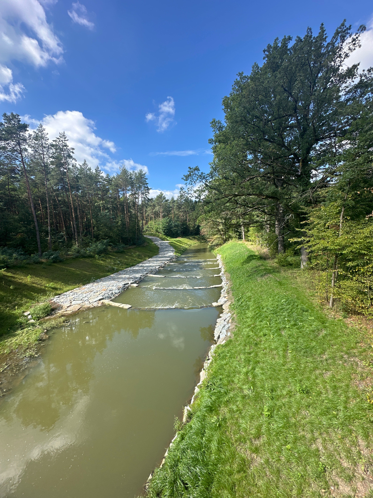 The image depicts a man-made waterway, likely a stream or canal, with stone embankments and a series of small dams or weirs constructed from stone and wood. The water is murky green and reflects the sky and surrounding trees. On the left side of the waterway, a grassy bank slopes up to a dense forest of pine trees. On the right side, a wider, well-maintained grassy embankment leads to a stand of mature deciduous trees, including a large oak. The sky is bright blue with scattered white clouds. The scene suggests a park or recreational area designed to manage water flow in a naturalistic setting. There are no people visible in the image. The location is identified as being in Malschwitz - Malešecy, Germany.