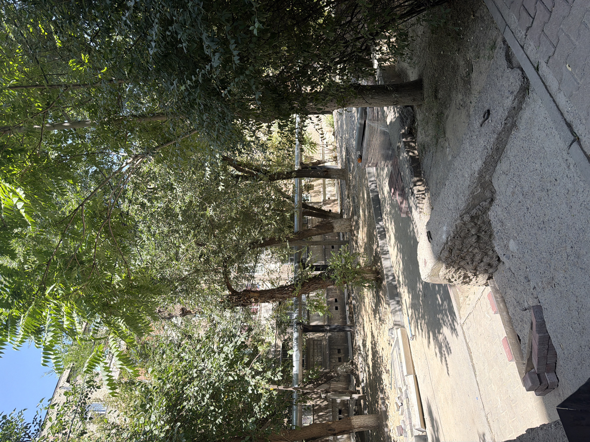 The image depicts a courtyard area within a residential building complex in Shymkent, Kazakhstan. The scene is characterized by mature trees with dense green foliage casting shadows on a paved area and a dirt path. A multi-story building with a textured facade and windows is visible in the background, partially obscured by trees. A prominent horizontal pipe runs along the middle section of the building, supported by vertical posts. The foreground shows construction or repair work in progress, with piles of bricks and concrete blocks, along with paving stones, indicating an ongoing project. A small snake is visible on a concrete structure in the lower right quadrant of the image. The overall environment suggests an urban courtyard setting that is undergoing some form of renovation.