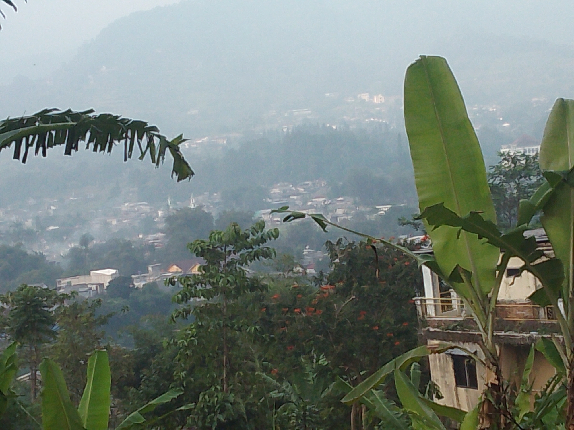 The image depicts a hazy, mountainous landscape with a settlement nestled in the valley below. In the foreground, large green banana leaves dominate the frame, obscuring parts of the midground and background. The midground features a collection of buildings, some with light-colored walls and red-tiled roofs, interspersed with dense green foliage. One prominent building appears to be under construction or in disrepair, with exposed concrete and a balcony. The background shows a further cluster of buildings and structures, fading into the misty atmosphere. The overall impression is one of a rural or semi-urban area in a tropical or subtropical region, likely experiencing some level of air pollution or fog. The specific location in Cisarua, Indonesia, suggests a mountainous area with a humid climate, consistent with the vegetation and atmospheric conditions visible. No people or specific actions are discernible in the image.