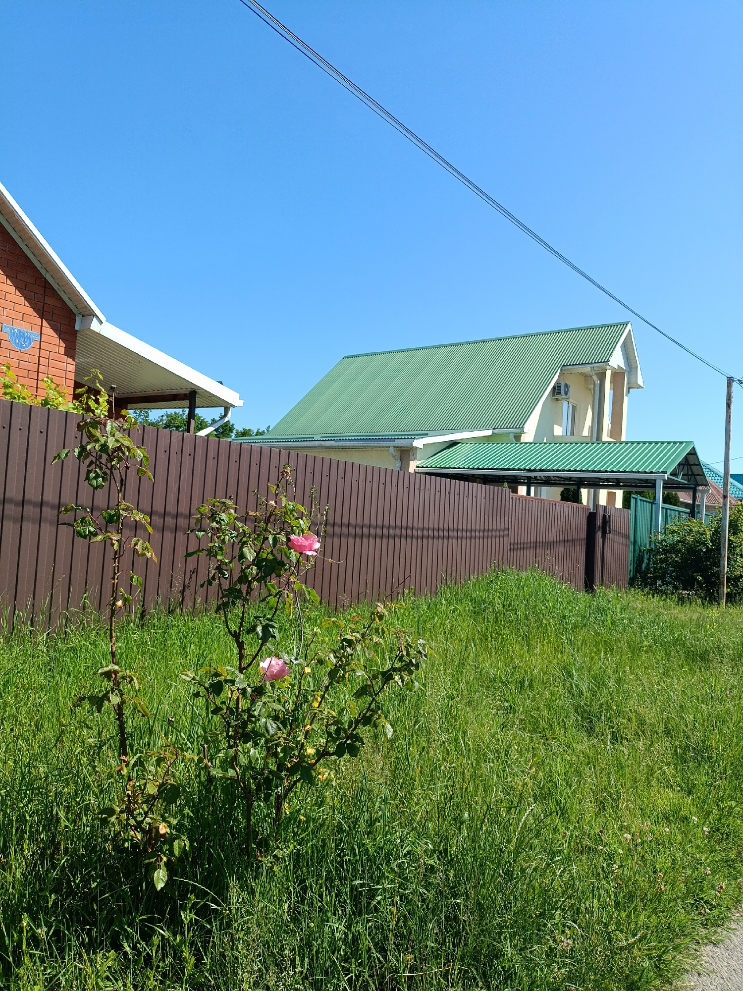 The image displays a sunny residential scene in Goryachiy Klyuch, Russia, featuring houses, a fence, and overgrown natural elements under a clear blue sky.
In the foreground, lush, slightly wild green grass dominates the lower half of the frame. Within this grassy area, two rose bushes with green foliage and several delicate pink blooms are visible. A small section of a grey paved surface, likely a sidewalk or road, can be seen at the far right edge of the frame.
The midground is defined by a tall, dark brown corrugated metal fence that runs horizontally across the image. Behind the fence, on the left, a portion of a brick house with white eaves and a gutter system is visible. A blue oval-shaped plaque is attached to the brick wall, bearing white Cyrillic text that reads "УЛ. ЛЕНИНА 24", indicating "Lenin Street, 24". On the right side, a two-story house with light yellow walls and a striking bright green corrugated metal roof stands out. This house features white architectural trim, including decorative pillars, and an air conditioning unit on its facade. An attached covered structure, possibly a carport or porch, also boasts a matching green corrugated roof. Further in the background on the right, another house with a green roof is partially visible.
The sky is a brilliant, cloudless blue, suggesting a clear and sunny day, likely during the morning or early afternoon. Two thin power lines stretch diagonally across the upper portion of the sky. A wooden utility pole is partially visible on the far right, near the fence line. No discernible human activity is taking place; the scene depicts a tranquil outdoor setting.