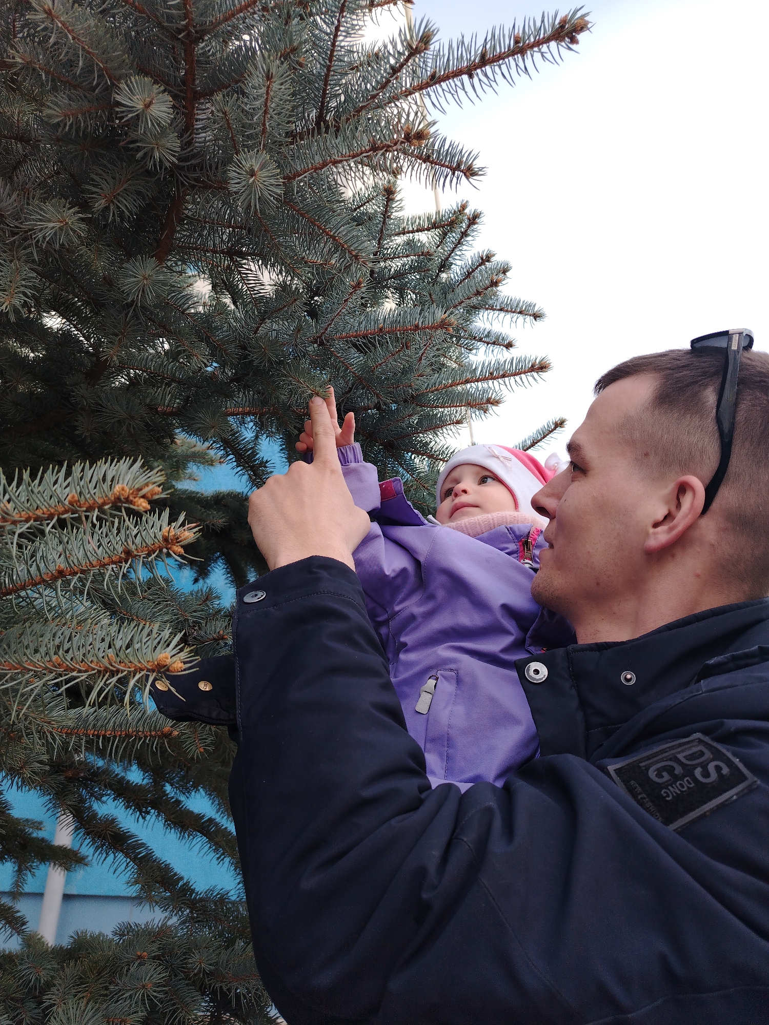 A medium shot captures a man holding a baby next to a large evergreen tree. The man, positioned on the right side of the frame, is Caucasian with short hair and is wearing a dark blue jacket with a patch on the right side of the chest that reads "GS DONG". Sunglasses are perched on his head. He is holding the baby, who is facing the tree and reaching toward the branches with its left hand. The baby is wearing a purple winter coat and a pink and white hat. The evergreen tree, a blue spruce, fills the left side of the frame, its branches extending upward and outward. Bare branches with small brown cones are visible. The background reveals a light blue wall and a partly cloudy sky. The image was taken in the city of Chaikovsky, Russia. The people are inspecting the evergreen tree.
