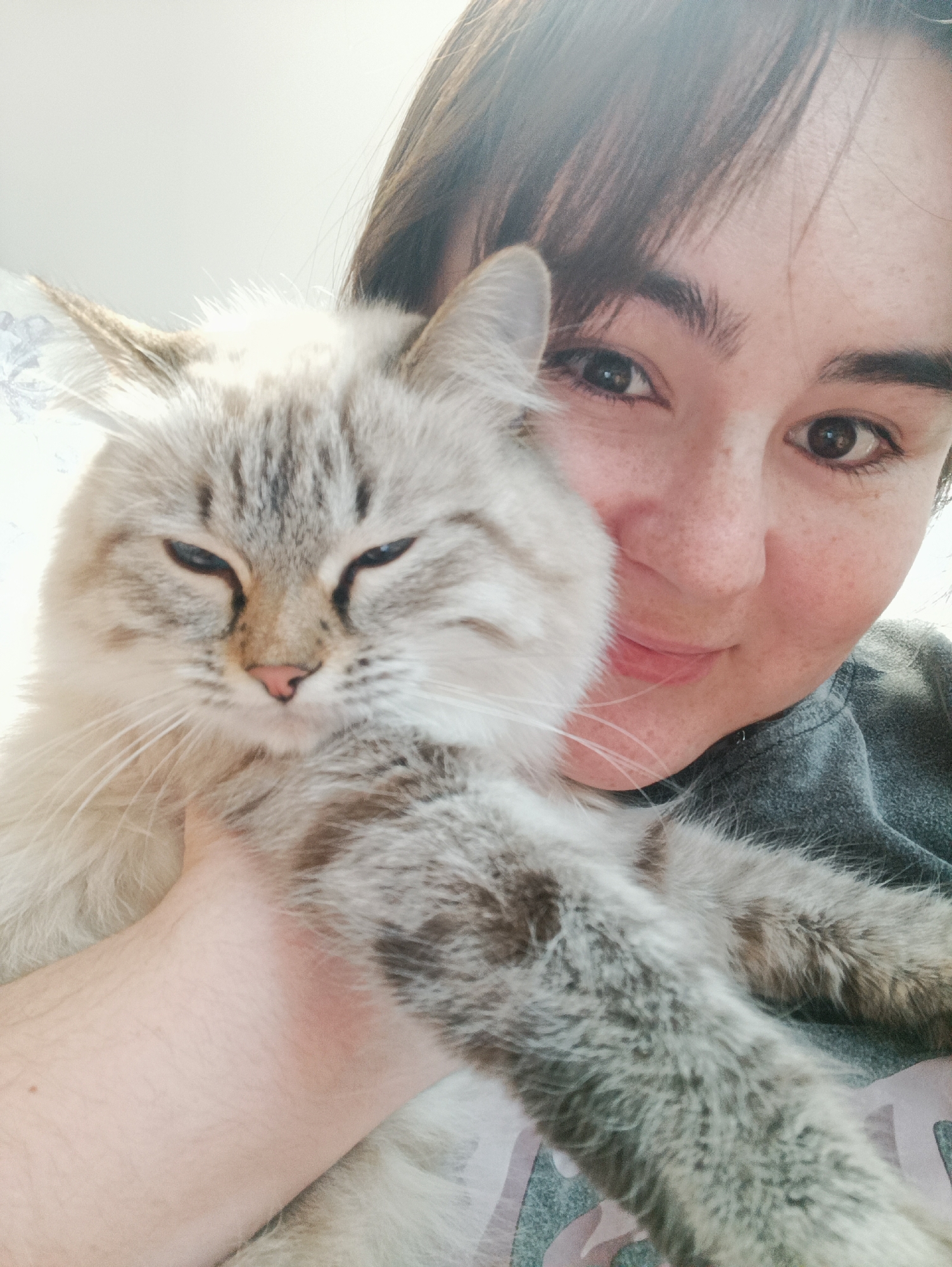 A person with fair skin, brown eyes, and freckles, with short dark hair, is holding a light-colored cat with grey stripes in their arms. The cat has blue eyes and appears to be sleepy or squinting. The person is wearing a grey shirt. The background is a light color. There is no indication of the city of Noviy, Russia.