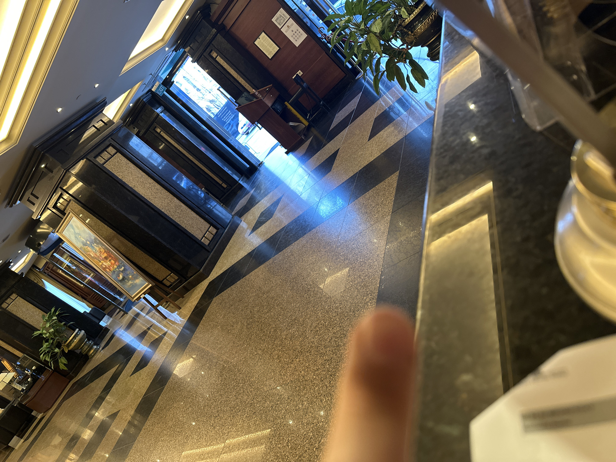 The image captures an indoor view of what appears to be a hotel lobby. The foreground is dominated by a blurred human finger. The lobby features a reception desk with a plant on top, elevators, marble or stone flooring with geometric patterns. The decor suggests a modern or upscale setting. A large painting hangs on the wall, and additional plants are visible. There are no people distinctly visible in the scene. Location is possibly in a hotel lobby in the city of Sofia, Bulgaria.