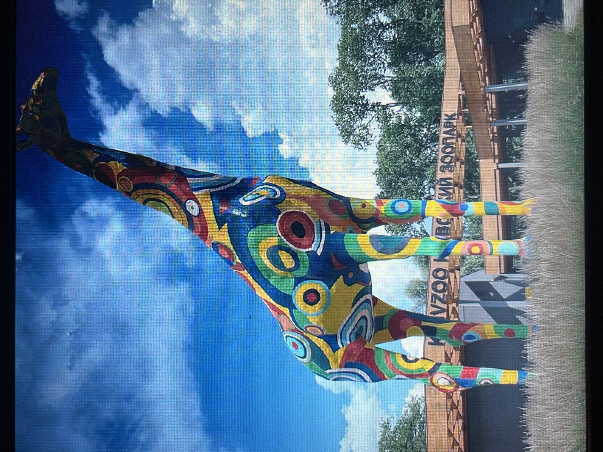 The image shows a brightly colored, abstractly patterned giraffe sculpture positioned in front of a building with wooden accents. The sculpture is tall and features a mosaic of circles and other geometric shapes in vibrant blues, yellows, reds, and greens. The background consists of a bright blue sky with scattered white clouds, and a line of trees behind the building. The building appears to be an entrance or facade for a zoo, with signage that reads "КrivoZOO" and "ВОЙНИЙ ЗООПАРК" which translates to "KrivoZoo" and "VOYNYY ZOO PARK" respectively. The ground in front of the building is covered with dry, tall grass. The overall scene suggests an outdoor public space, likely a zoo entrance.