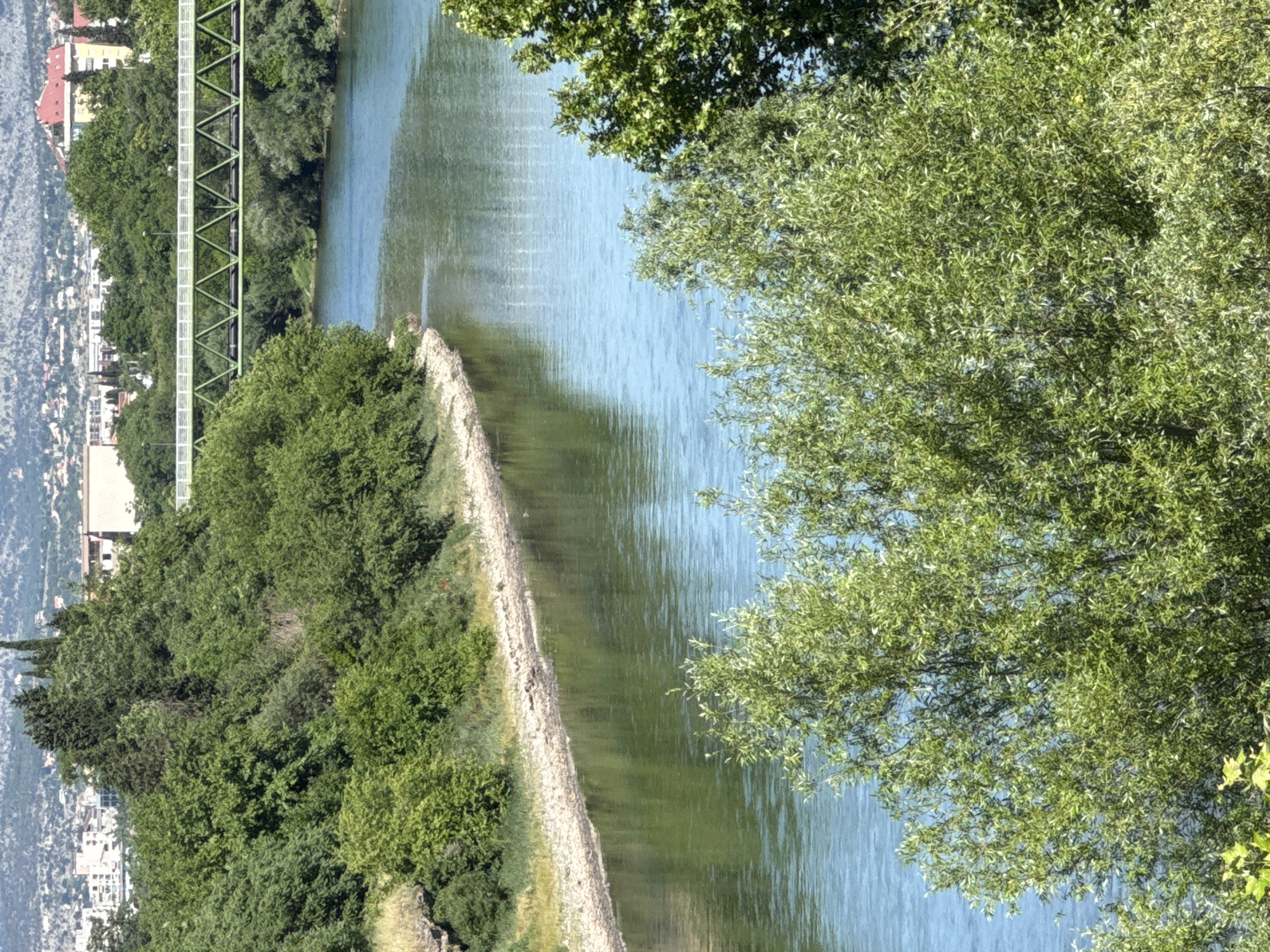 This eye-level, tilted outdoor shot captures a river flowing through a city in an unknown location. The river runs vertically through the frame, flanked by tree-lined banks. A footbridge spans the river in the upper-left quadrant of the image. On the far bank, buildings are visible, hinting at urban development. Dense foliage fills the foreground, particularly to the right, where a large tree dominates the view. The river reflects the sky and surrounding greenery. The scene is bright, suggesting daylight conditions.