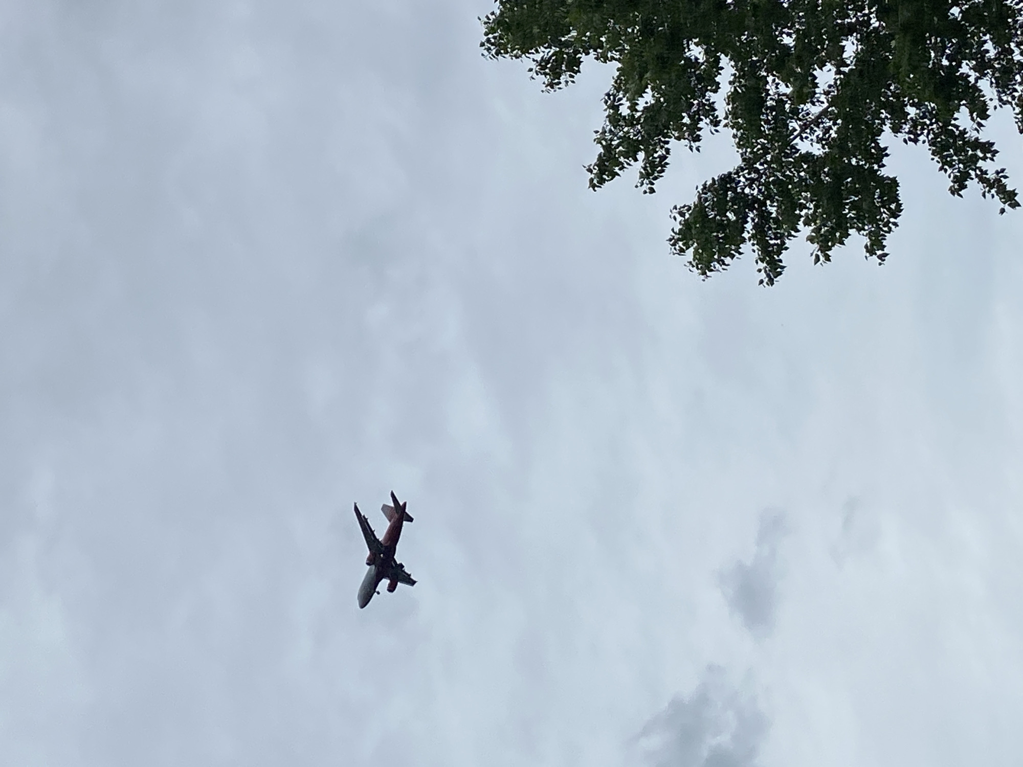 An airplane is flying in the sky above Tyumen, Russia. The plane is red and gray and is oriented diagonally. The sky is overcast. Green tree foliage is visible in the upper right corner.
