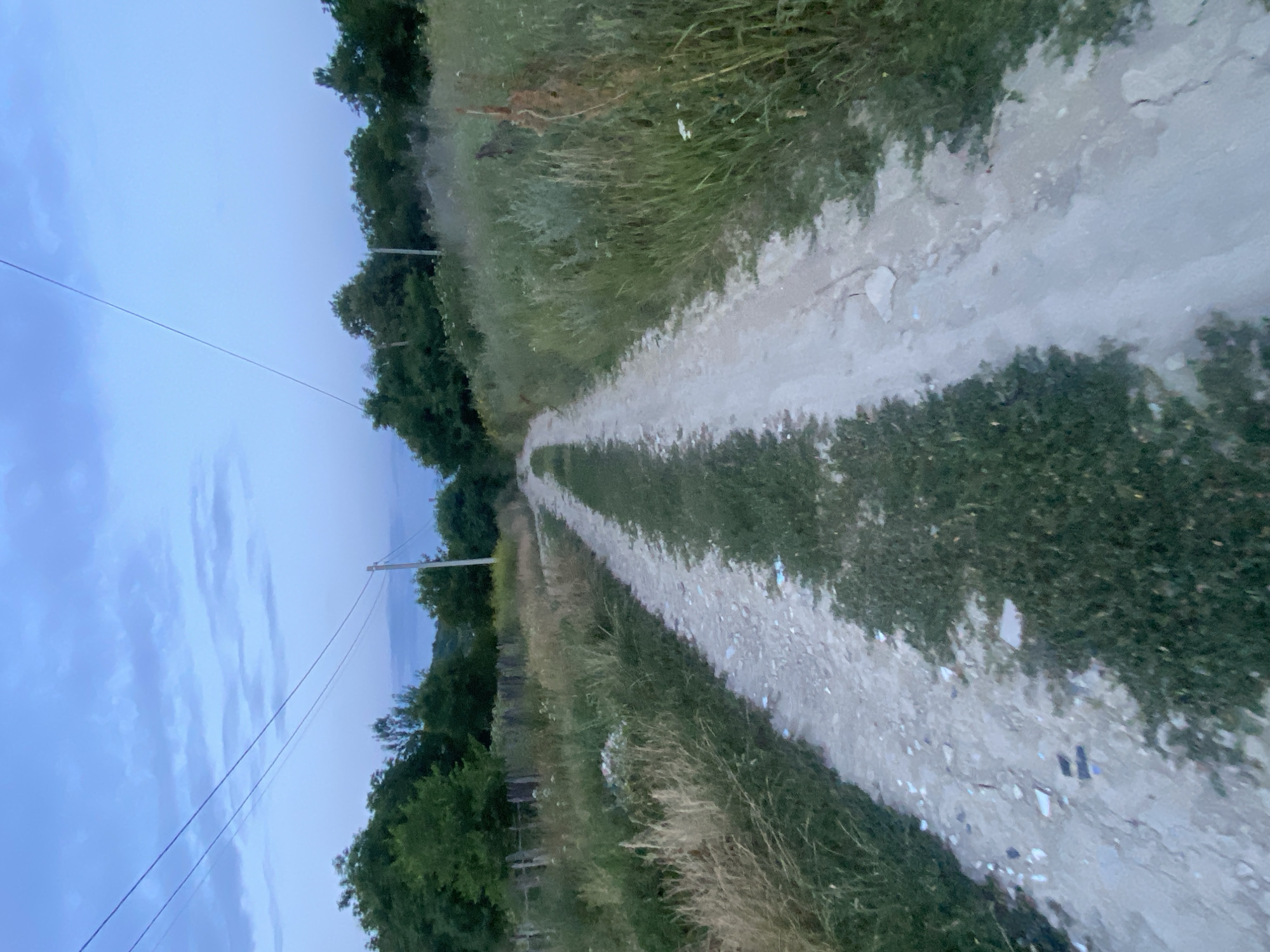 The image depicts a dirt road stretching into the distance, flanked by tall grass and trees. The sky above is a twilight blue with scattered clouds. Two power lines run diagonally across the frame, supported by utility poles visible in the background. The road surface is a mixture of dirt and gravel, with patches of green grass growing through it. The overall scene suggests a rural or semi-rural setting. The specific location within Horodca, Moldova, cannot be determined from the visual information alone. There are no people or active subjects visible in the image.