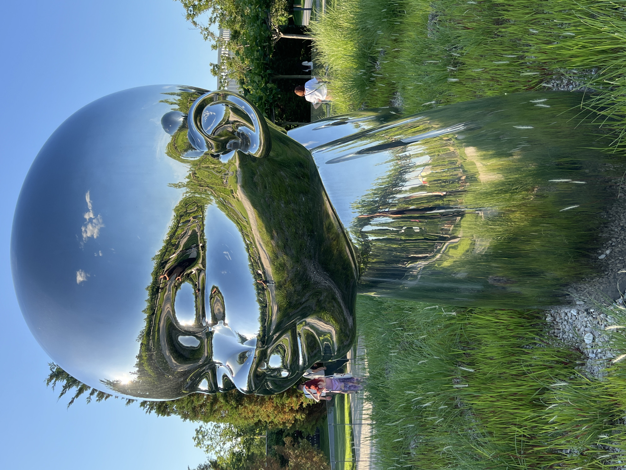 The image captures a large, highly reflective, chrome-like sculpture of a human head and shoulders, likely a child's, situated in an outdoor park setting. The sculpture's smooth, mirrored surface vividly reflects the surrounding environment, including a clear blue sky with a few white clouds, lush green trees, and tall grasses. The reflections are distorted, creating abstract patterns of the park landscape across the metallic form.
Several people are present in the scene. One individual in a white shirt is visible in the background, bending down amidst tall grass. Two other people are seen closer to the base of the sculpture; one wears a colorful patterned dress and appears to be observing the artwork. Their figures are also reflected on the sculpture's surface.
The setting is a well-maintained public park or garden, characterized by extensive green lawns, taller ornamental grasses with white seed heads, and areas of light-colored pebbles on the ground. Paved pathways are visible in the reflections. The time of day appears to be midday or early afternoon, indicated by the bright, clear sky, strong sunlight, and the distinct reflections and glints off the sculpture. The weather is sunny and clear. No discernible text is visible in the image. The overall scene depicts a peaceful recreational area with public art.