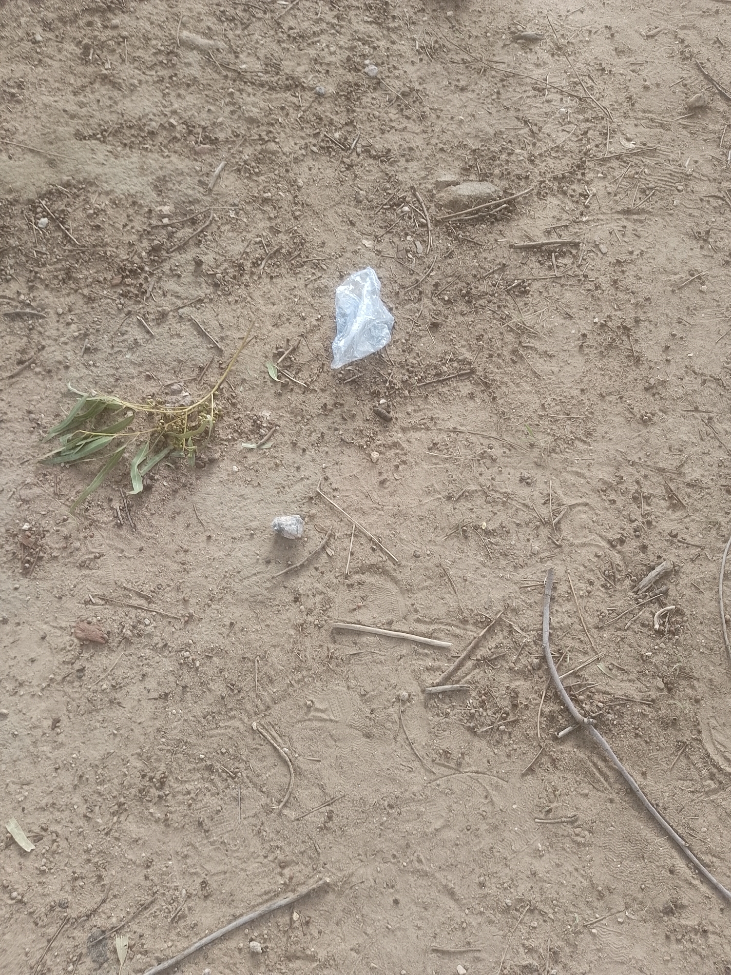 The image shows a dry, sandy ground with scattered debris in Majemu, Nigeria. The debris includes small twigs, dried leaves, pebbles, and a piece of crumpled white plastic. There is also a small cluster of green leaves with stems. The ground appears to be a natural surface, possibly a dirt path or an undeveloped area. No people or animals are visible in the image.