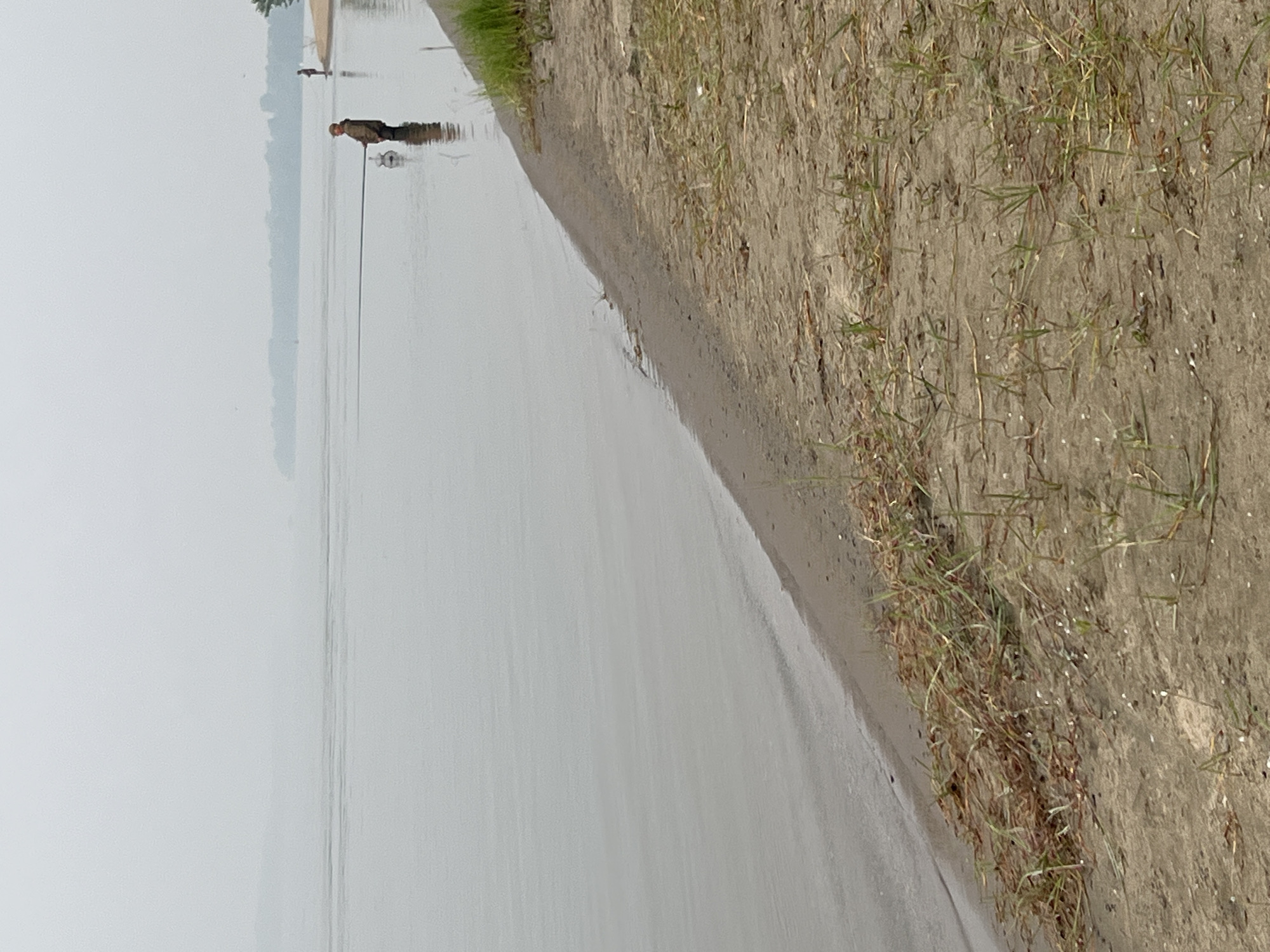 A hazy, overcast day at a waterfront. A person is fishing in the water, standing waist-deep, holding a long fishing rod. Another person is standing further down the shore. The foreground shows a sandy bank with sparse vegetation. The water stretches to the horizon, where a distant treeline is visible through the fog.
