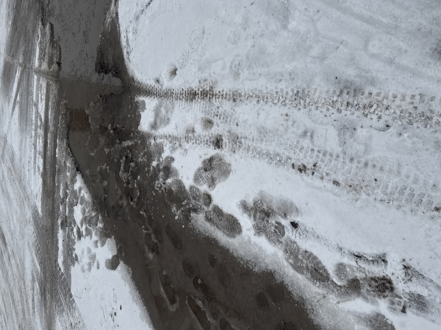 The media file captures a ground-level view of an outdoor surface covered in a mixture of snow, ice, and slush. The scene likely depicts a street or pathway during winter. Visible subjects include patches of dirty snow, slushy areas, and ice, interspersed with darker sections where dirt or water is more prominent.
The primary activity suggested is passage, evidenced by numerous tracks imprinted on the surface. Two distinct, parallel tire tracks, likely from a bicycle or a similar narrow-wheeled vehicle, run diagonally across the frame, showcasing a repetitive block-like tread pattern. Alongside and between these, various irregular footprints, consistent with shoes or boots, are visible in both snowy and slushy areas.
Notable details include the uneven texture of the ground, with some parts appearing icy and reflective, while others are soft snow or dark, wet slush. The overall color palette is dominated by grays, whites, and dark browns, indicative of winter conditions with melting snow and accumulated dirt. There are no strong shadows, suggesting either an overcast day or indirect lighting. No visible text is present in the image. The winter environment is consistent with the provided location context of Perm, Russia.