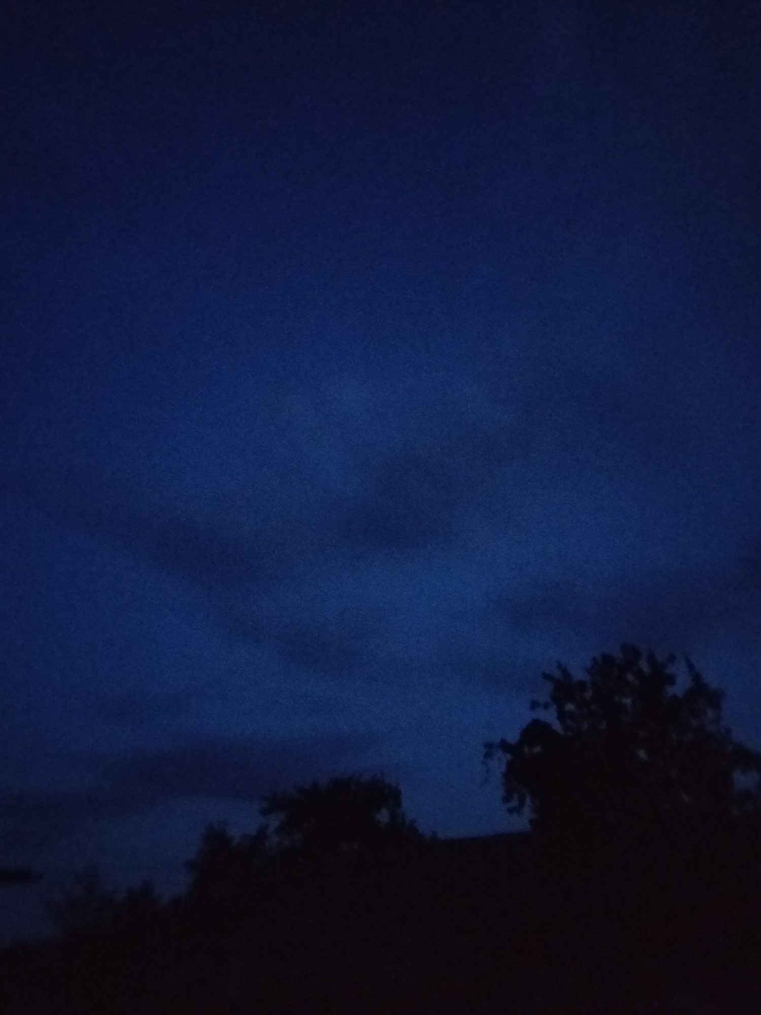 The image depicts a dark, twilight sky with faint clouds visible. Silhouetted against the sky are the tops of trees and possibly a building at the bottom of the frame. The overall impression is of a serene, natural landscape at dusk. The location in Ustyvytsia, Ukraine, suggests a rural or semi-rural setting. There are no people or specific actions depicted in the image.