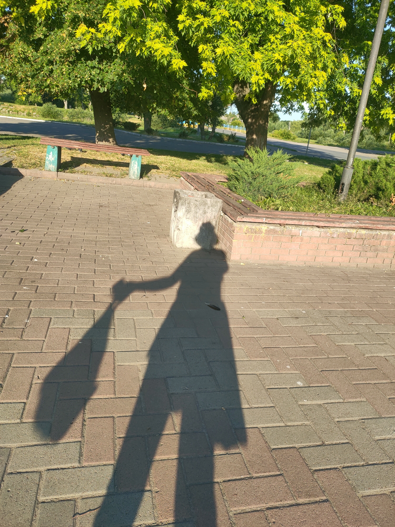 An outdoor scene in Nosivka, Ukraine, bathed in sunlight. The foreground is dominated by a textured, multi-colored brick pathway. A long shadow of a person, holding what appears to be a long, flat object, stretches across the pathway. The person's shadow suggests they are wearing a hat. In the midground, there is a low brick wall topped with wooden seating, creating a planter box filled with green bushes and grass. Behind this, a wooden bench with teal-colored supports sits on a grassy area adjacent to a paved road. Mature trees with vibrant green leaves form a canopy overhead, with sunlight filtering through. A metal lamppost is visible to the right of the frame. The overall environment suggests a public park or walkway area.