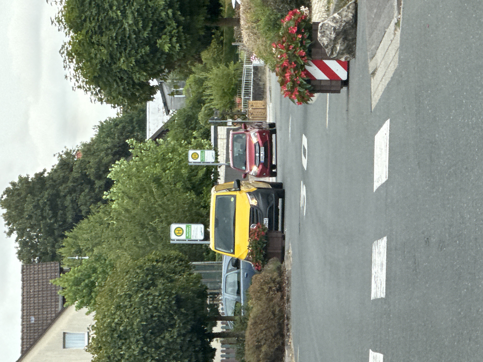 This image depicts a street scene in Bad Sachsa, Germany, likely near a bus stop. In the foreground, a crosswalk is visible on the asphalt road. To the right of the crosswalk, a planter box with red flowers and a red and white striped marker stands next to a large rock. Further up the road, a red car is parked, facing the camera, with a license plate reading "OHS A 100". To the left of the red car is a yellow van, also facing the camera. Behind the van, a blue car is partially visible. Two "H" signs, indicating bus stops, are positioned further down the road. The background consists of trees, houses, and an overcast sky. The scene appears to be a quiet residential street.