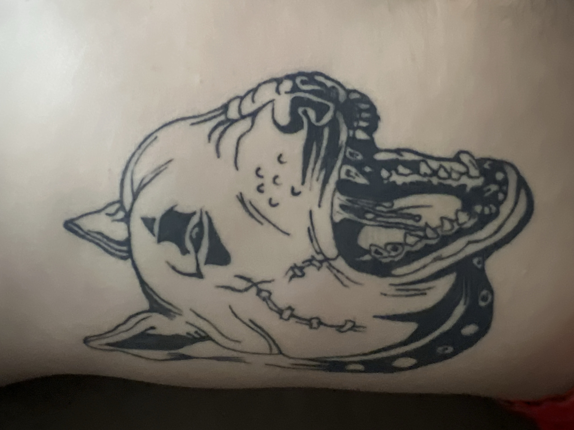 The image shows a close-up of a black and white tattoo of a dog's head on a person's skin. The dog has its mouth open, revealing sharp teeth, and appears to be snarling. The tattoo includes details like stitches on the dog's cheek and a spiked collar. The background is a neutral, skin-toned surface. There is no indication of the location being Sheptytskyi, Ukraine, or any other specific city.