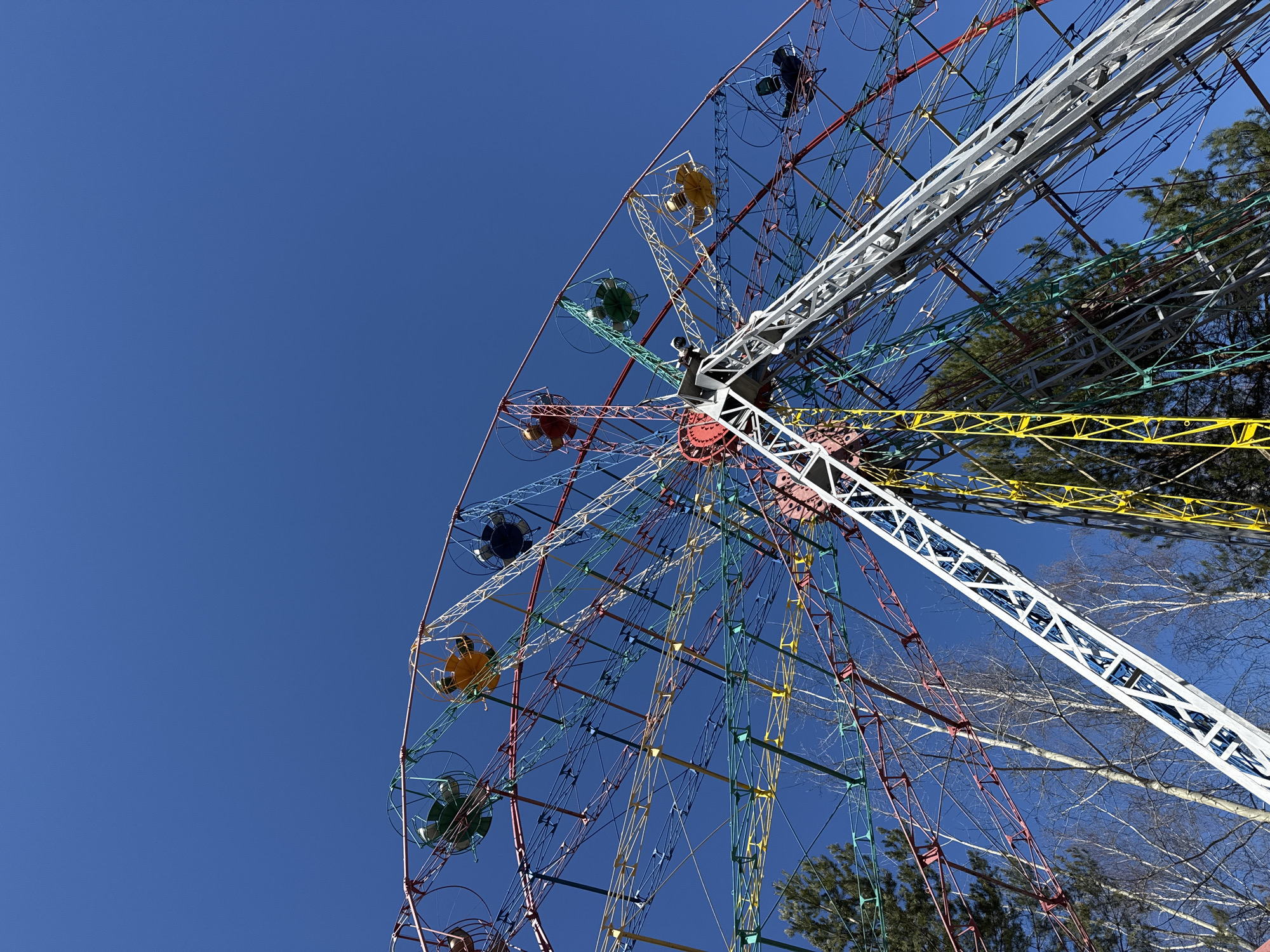 The image depicts a low-angle view of a Ferris wheel in Chaikovsky, Russia. The sky is a clear, vibrant blue. The Ferris wheel's structure is made of multi-colored metal beams, with passenger cabins in various shades like yellow, green, blue, and red. Some bare tree branches and evergreen trees are visible behind the wheel's structure, indicating its presence in a park or wooded area.